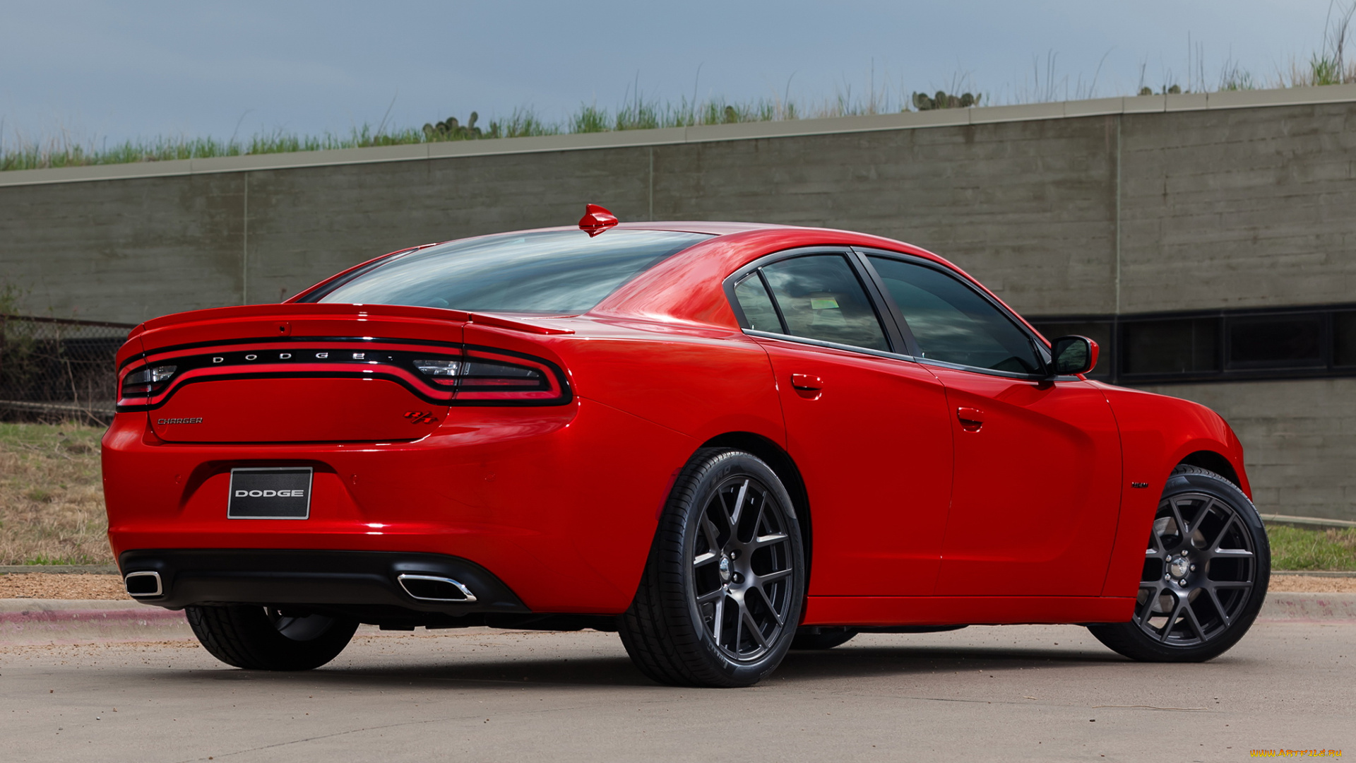 автомобили, dodge, красный, ld, charger, r-t, 2015