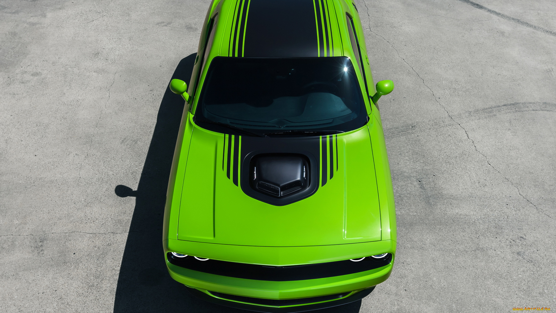 автомобили, dodge, зеленый, lc, 2015, shaker, r-t, challenger