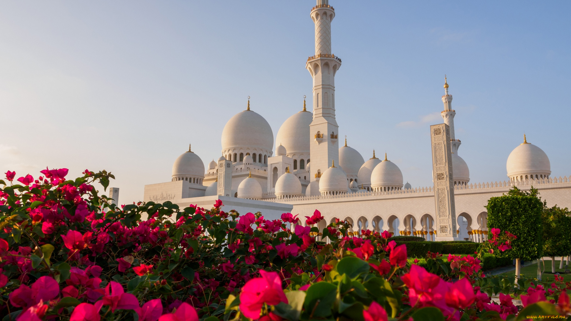 города, абу-даби, , оаэ, мечеть, шейха, заида