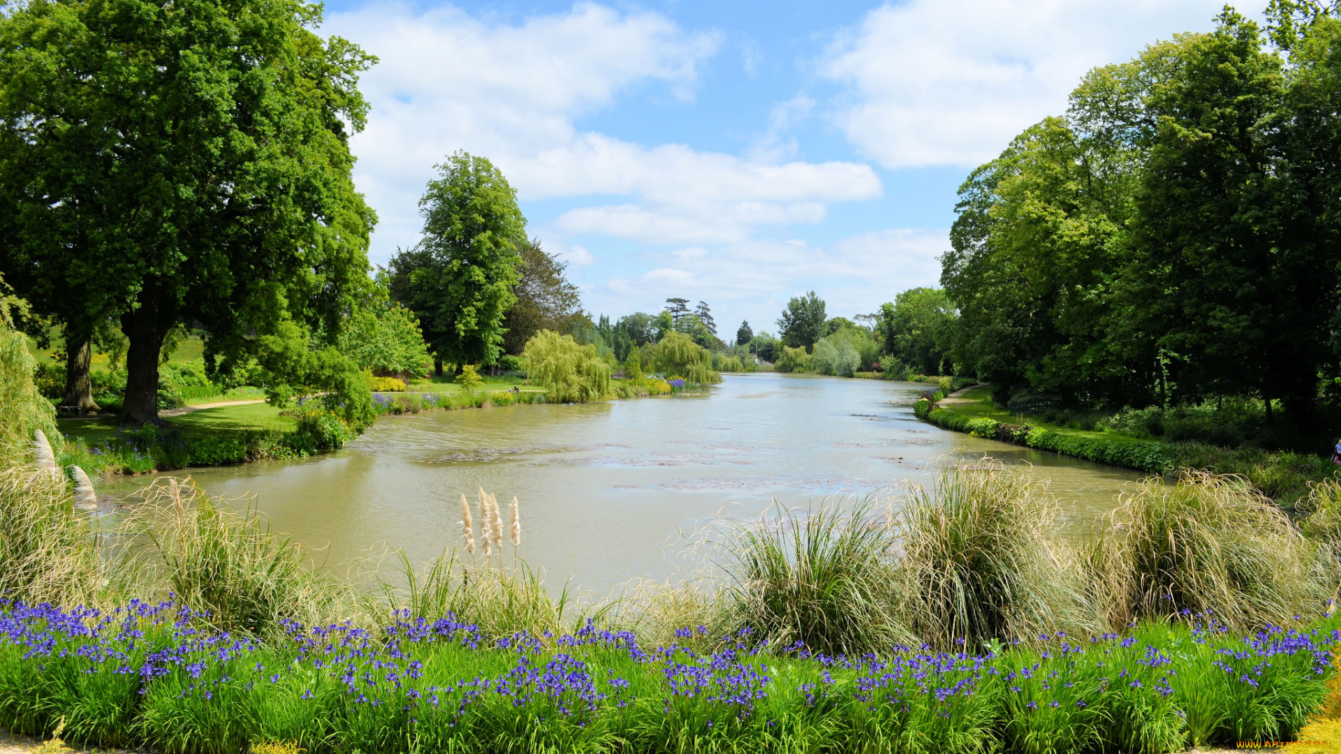 природа, реки, озера, пруд, тропинка, лето, лес