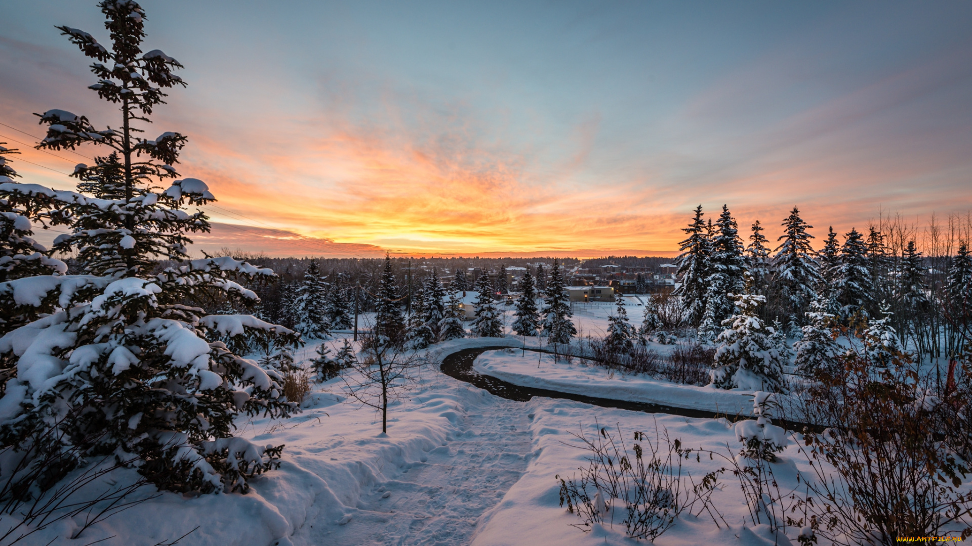 природа, восходы, закаты, снег, поле, ели, заря, горизонт, тропинка