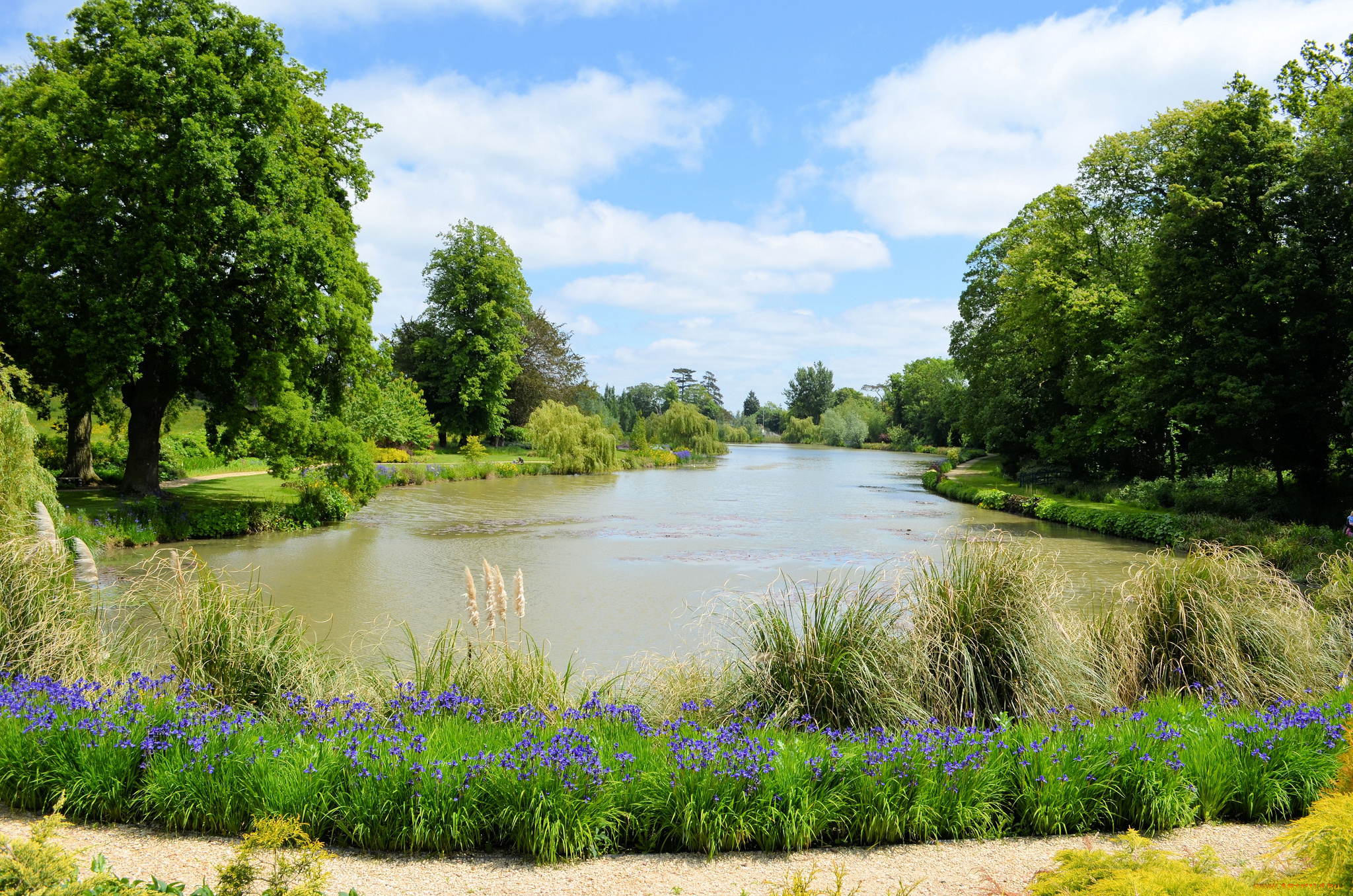 природа, реки, озера, пруд, тропинка, лето, лес