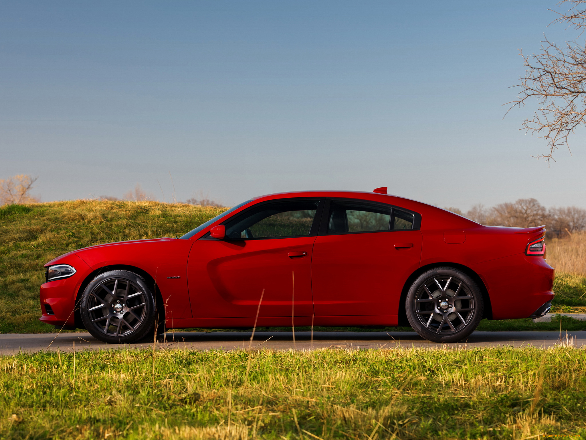 автомобили, dodge, ld, красный, 2015, charger, r-t
