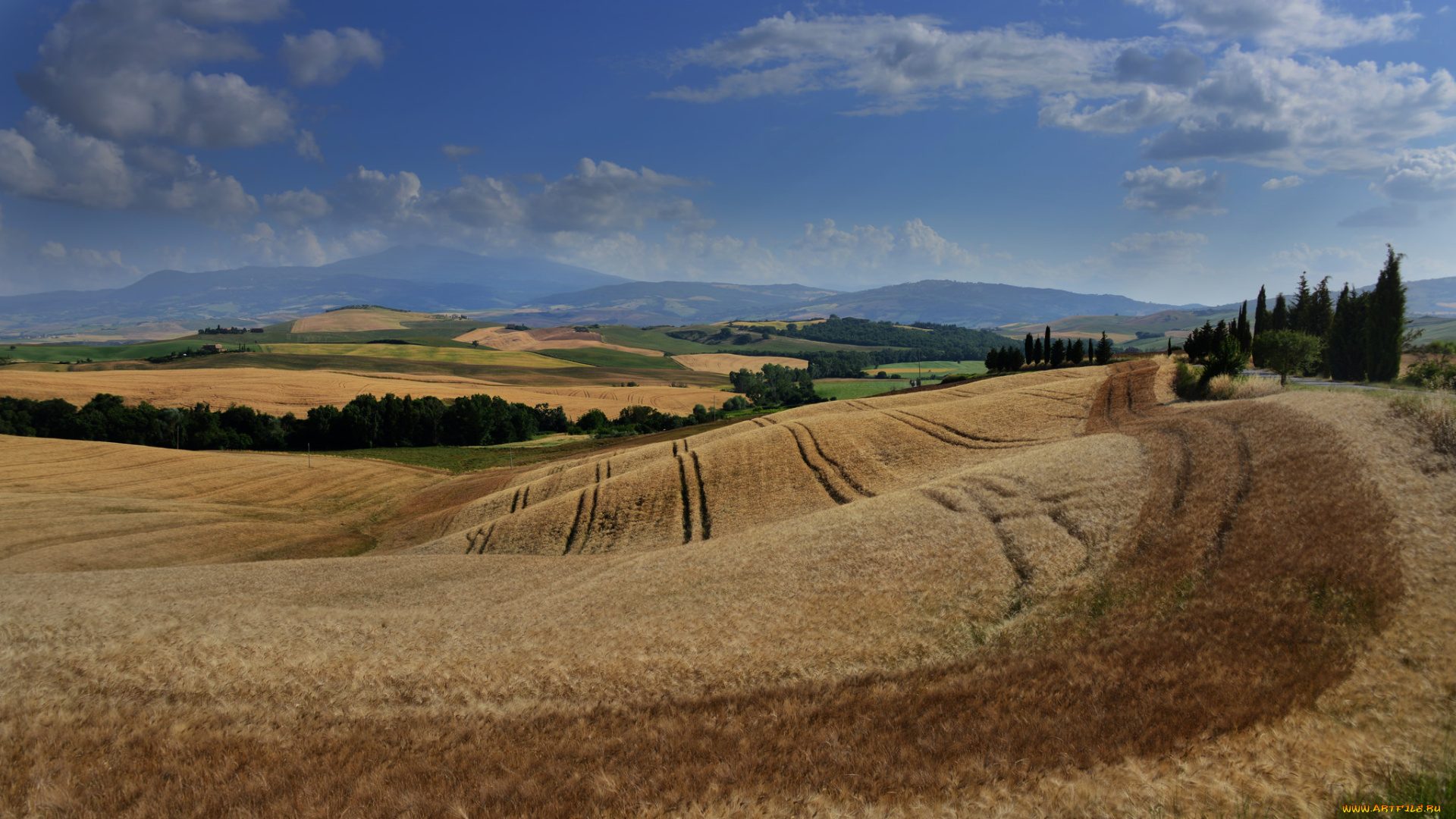 природа, пейзажи, равнина