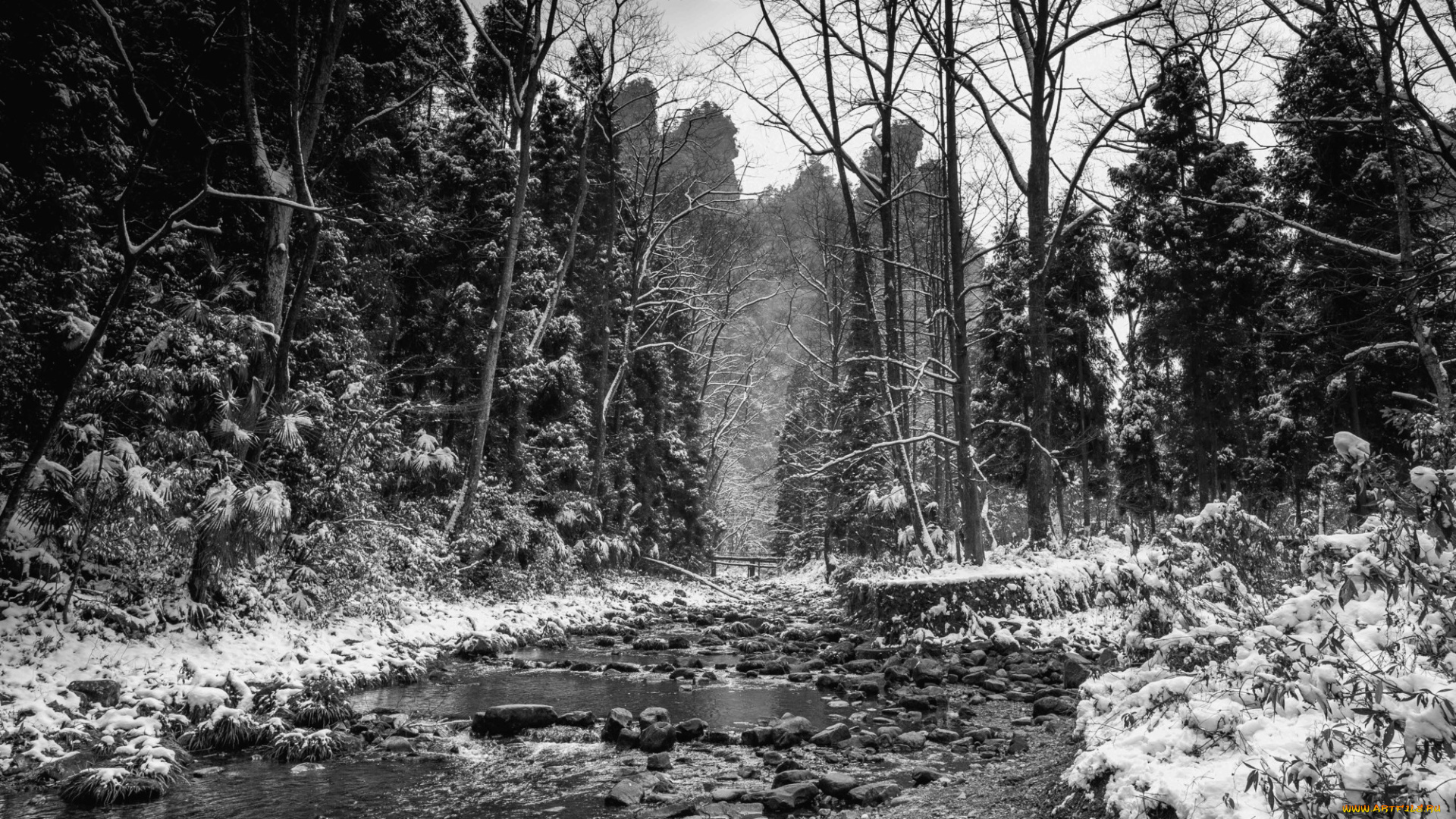 природа, реки, озера, река, лес