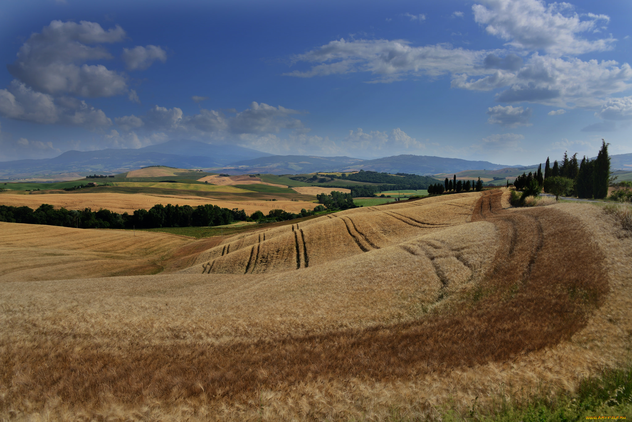 природа, пейзажи, равнина