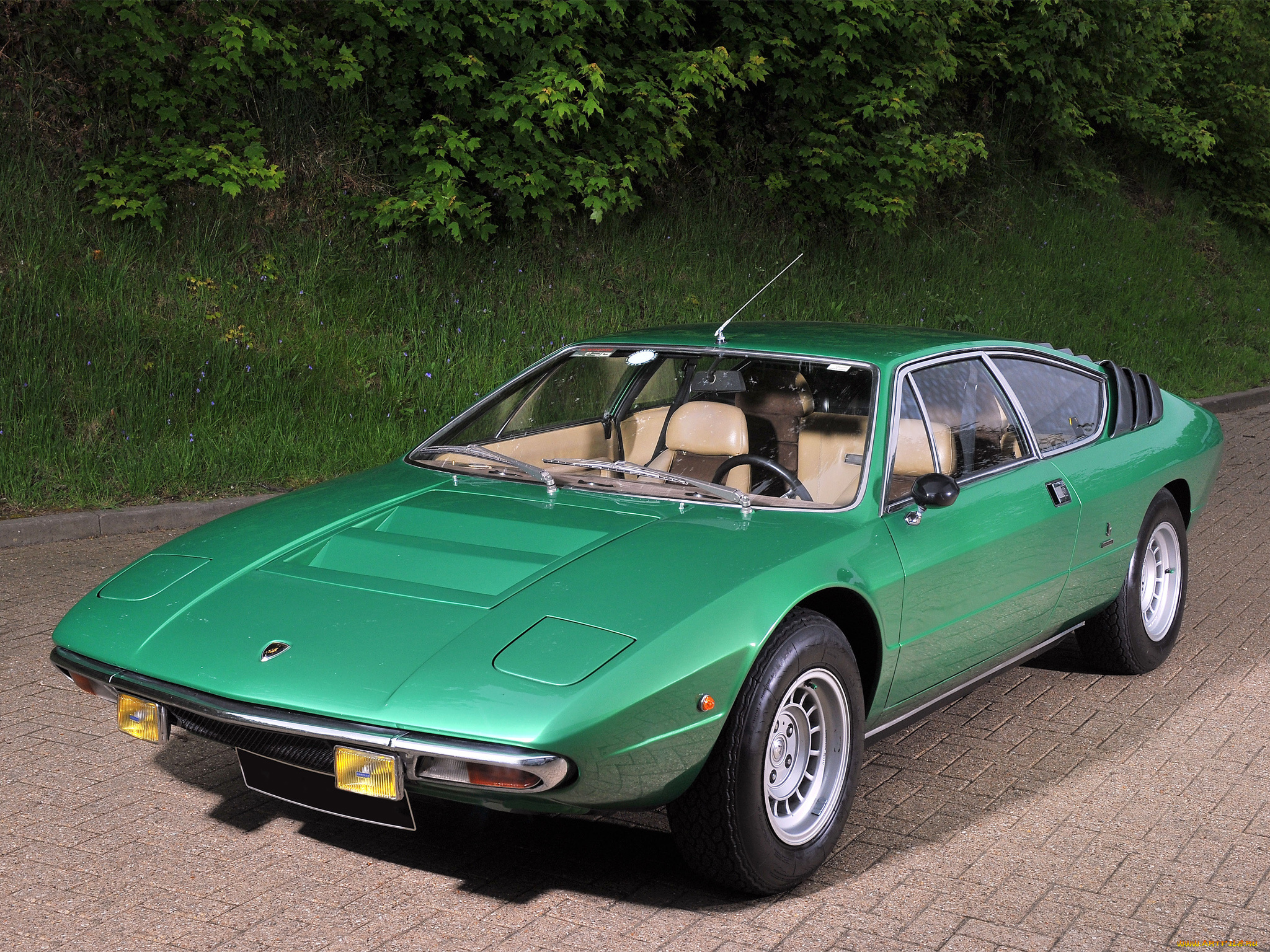 автомобили, lamborghini