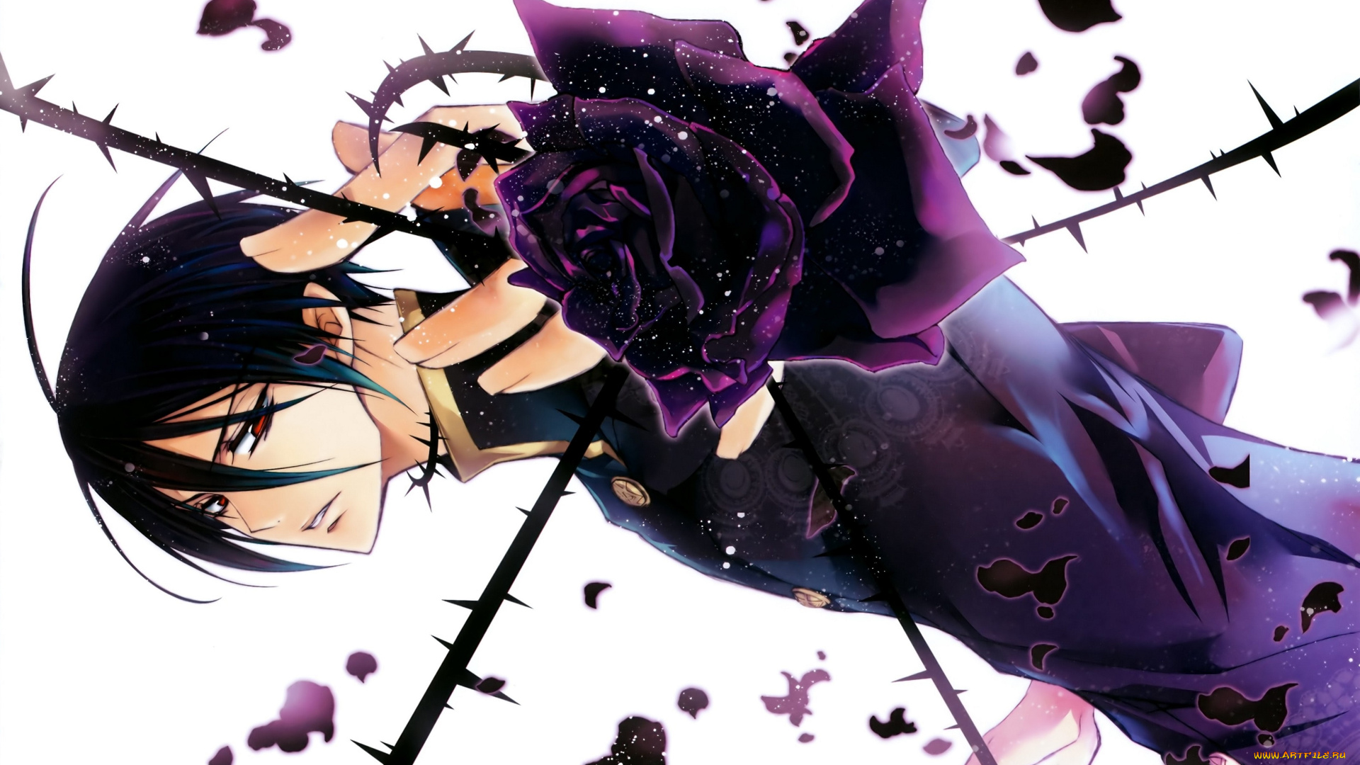 аниме, kiss, of, rose, princess, стебли, с, шипами, чёрная, роза, красные, глаза, лепестки, белый, фон, art, mutsuki, kurama, парень, kiss, of, rose, princess, aya, shouoto