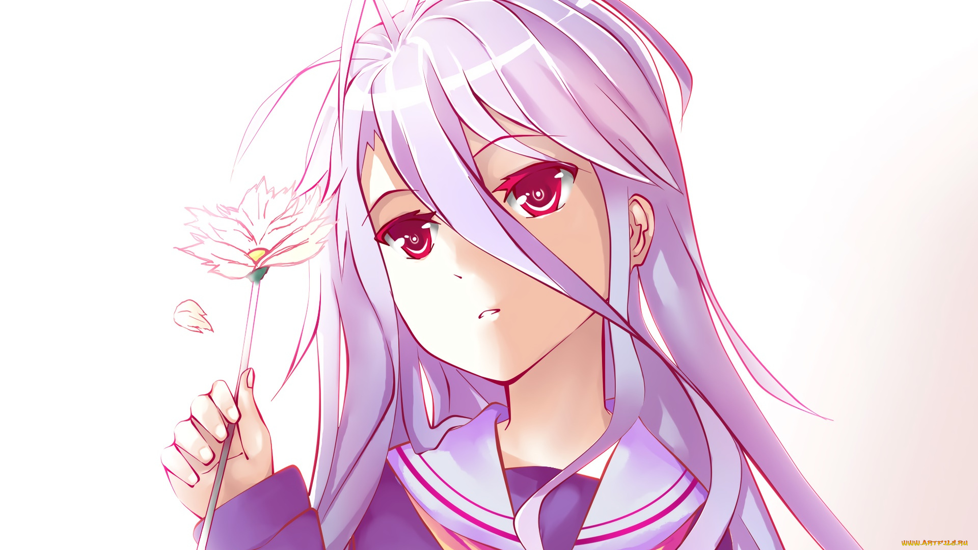 аниме, no, game, no, life, девушка, фон, взгляд