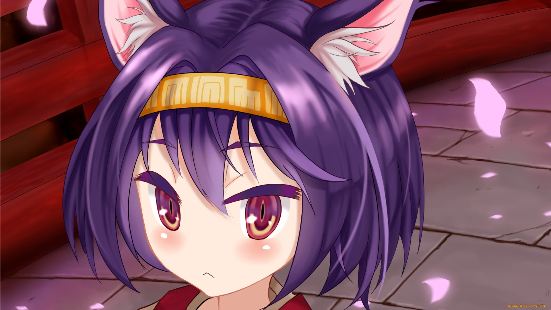 аниме, no, game, no, life, фон, взгляд, девушка