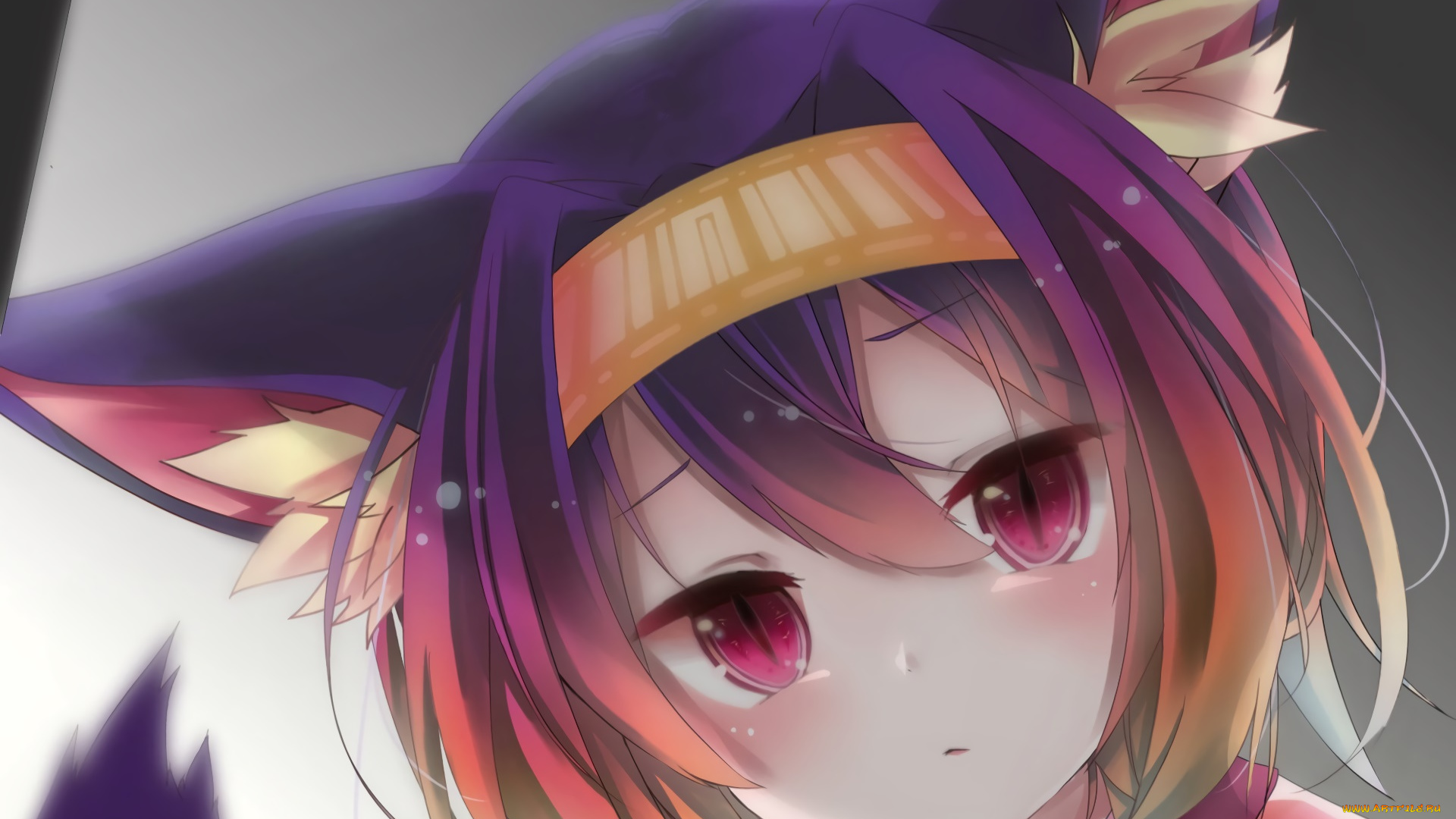 аниме, no, game, no, life, фон, взгляд, девушка