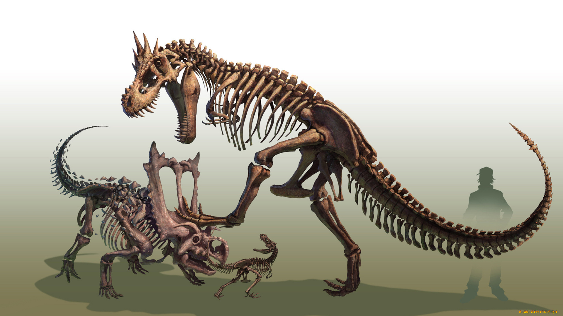 аниме, pokemon, чудовище, монстр, чудище, существо