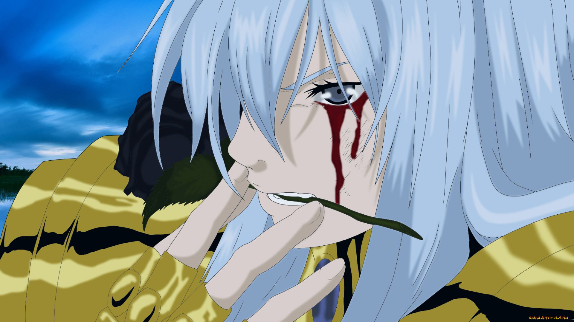 аниме, saint, seiya, кровь, роза