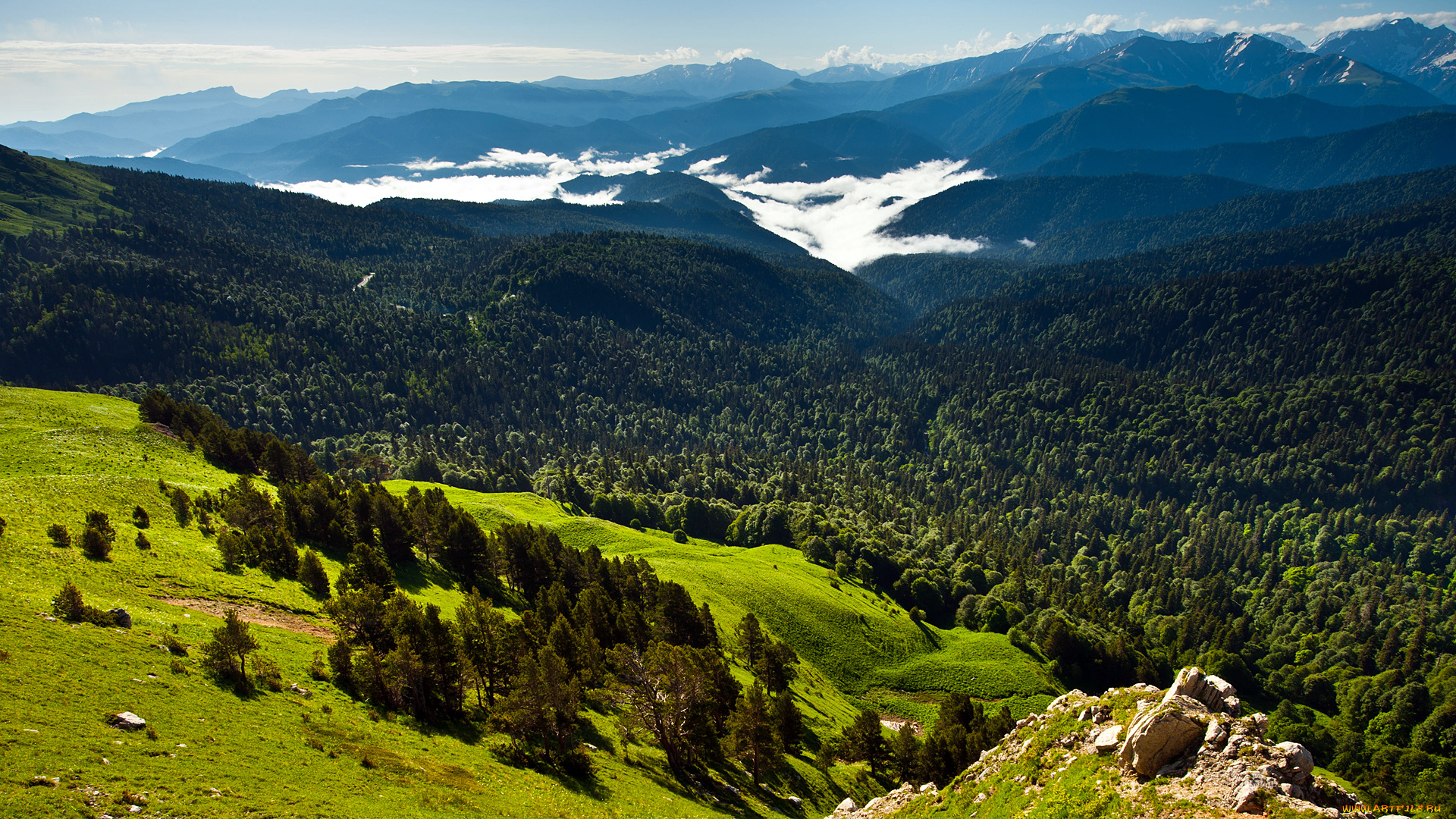 природа, пейзажи, красота, родной