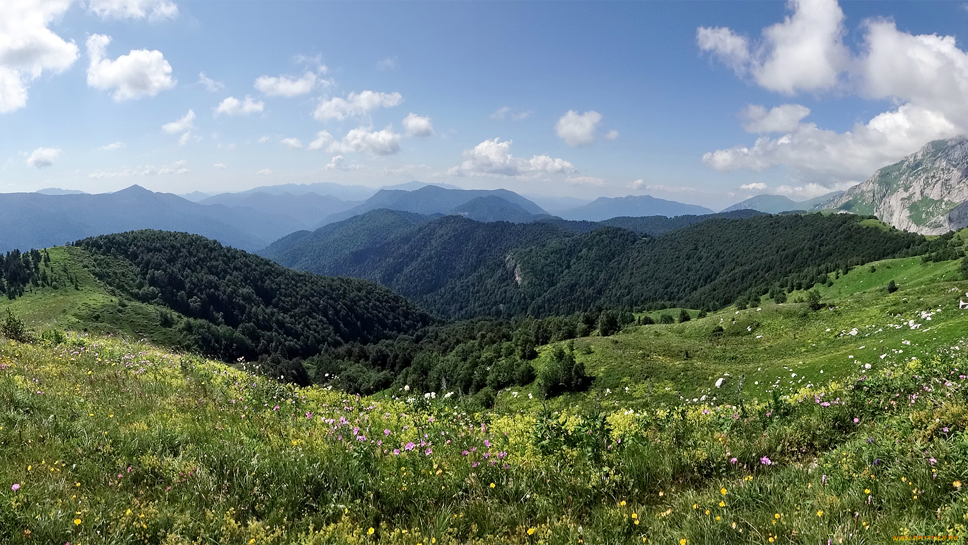 природа, пейзажи, красота, родной