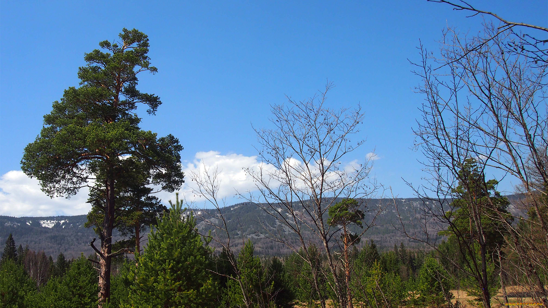 природа, пейзажи, красота, родной