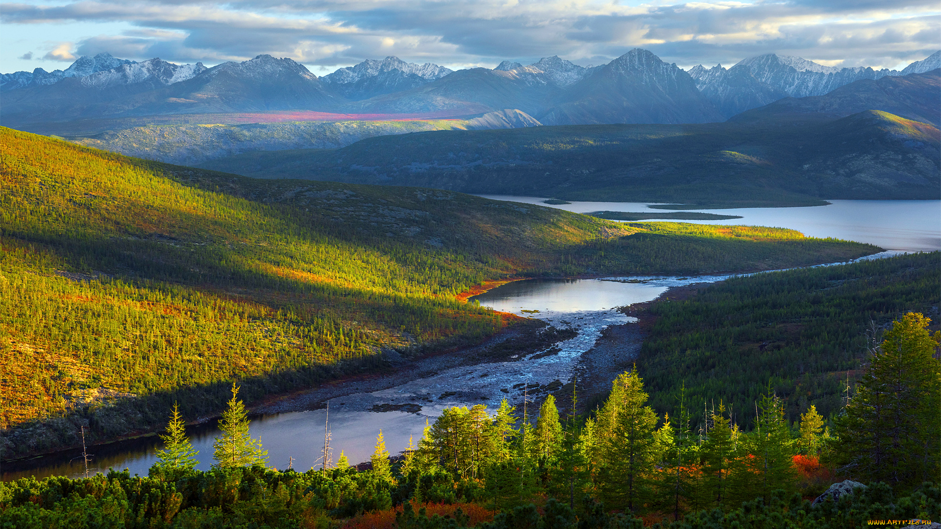 природа, пейзажи, красота, родной