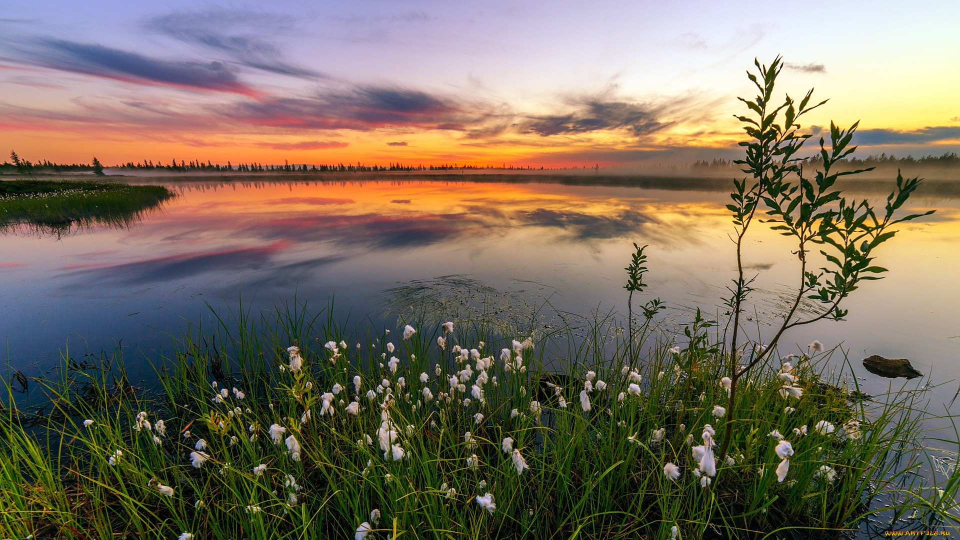 природа, реки, озера, красота, родной