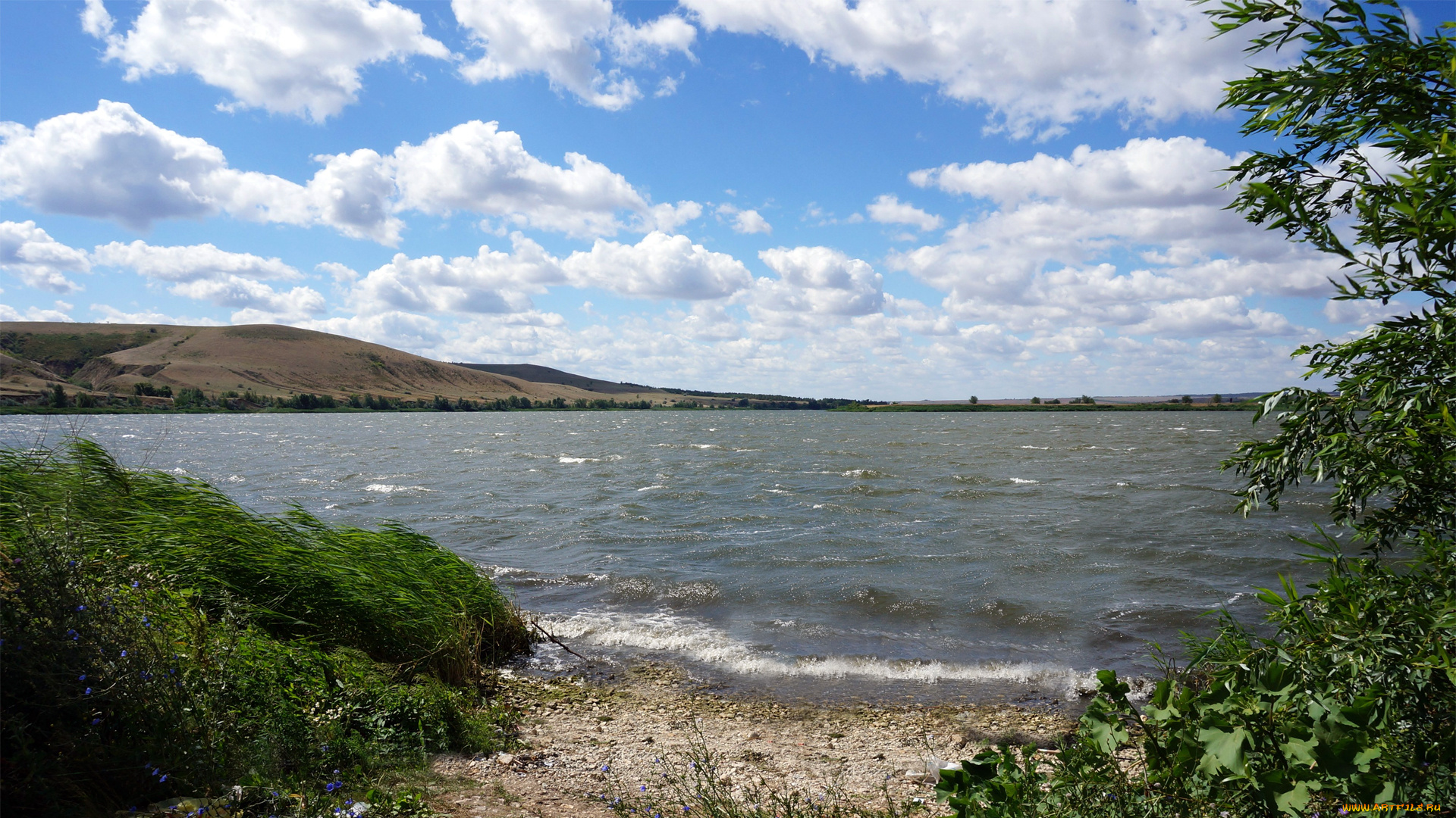 природа, реки, озера, красота, родной