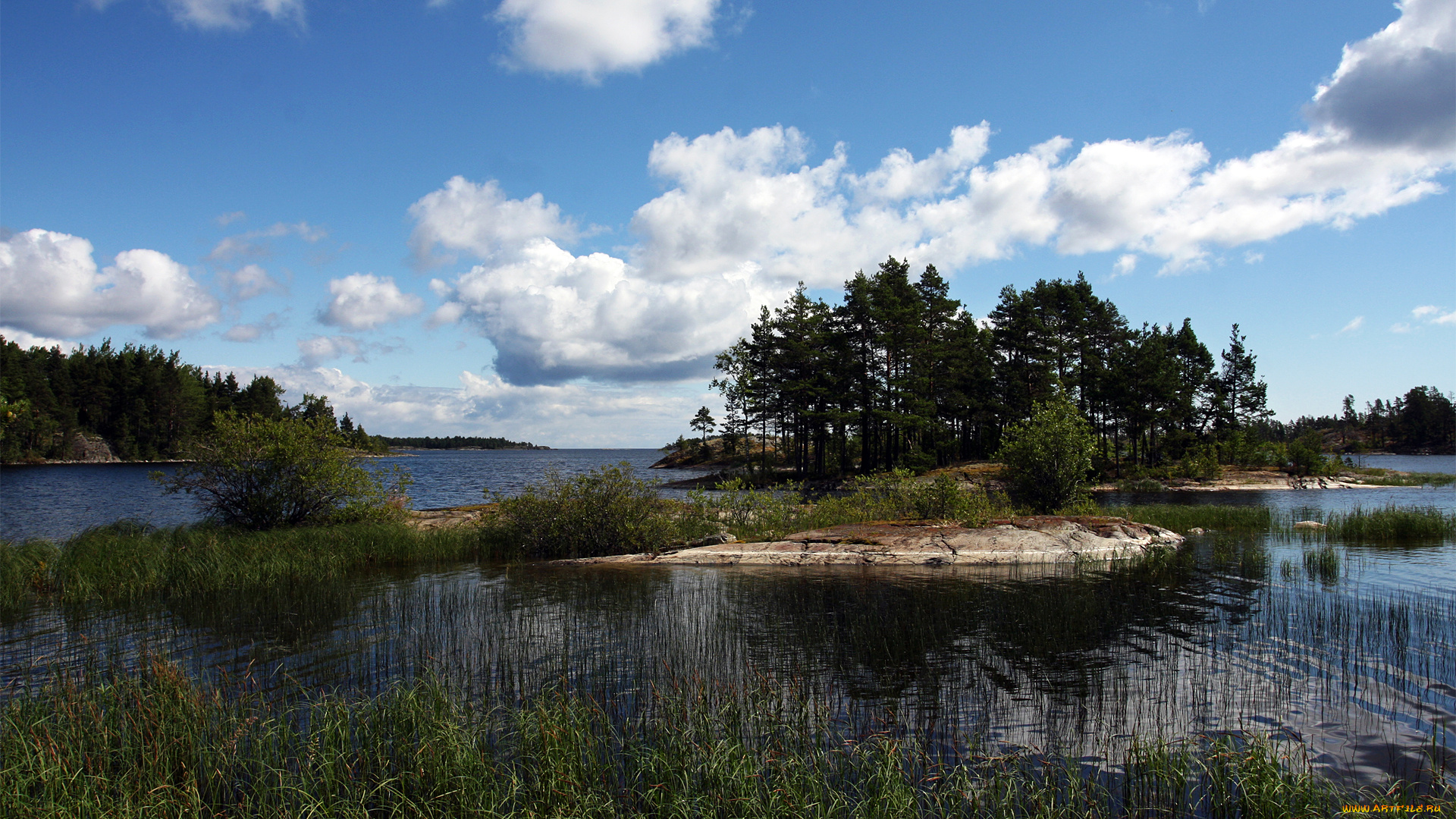 природа, реки, озера, красота, родной