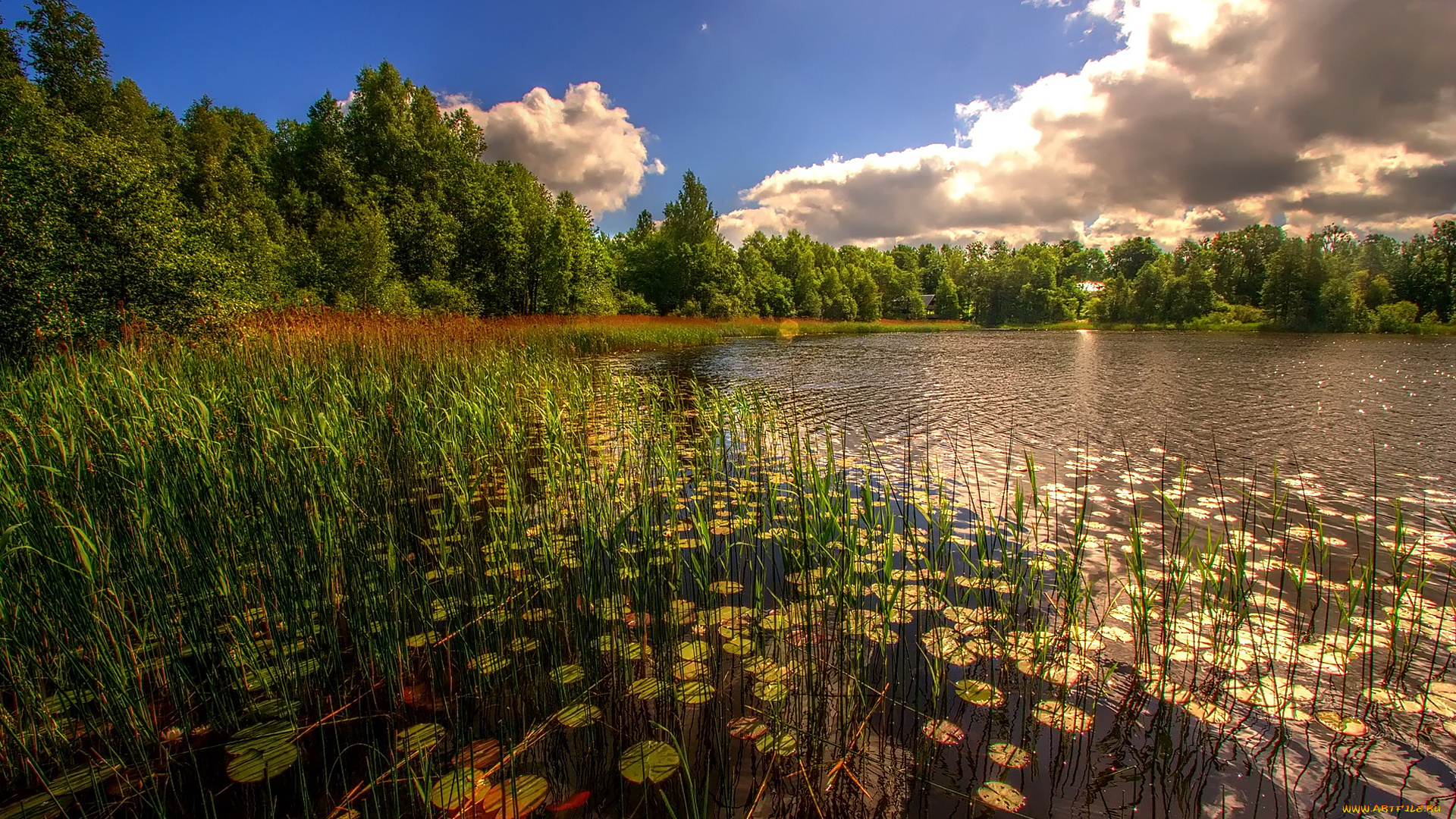 природа, реки, озера, красота, родной