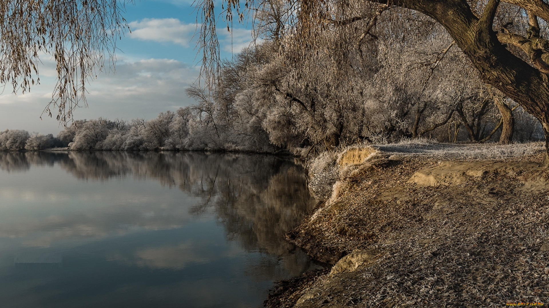 природа, реки, озера, отражение, озеро, берег, ивы, иней, владимир, тузлай