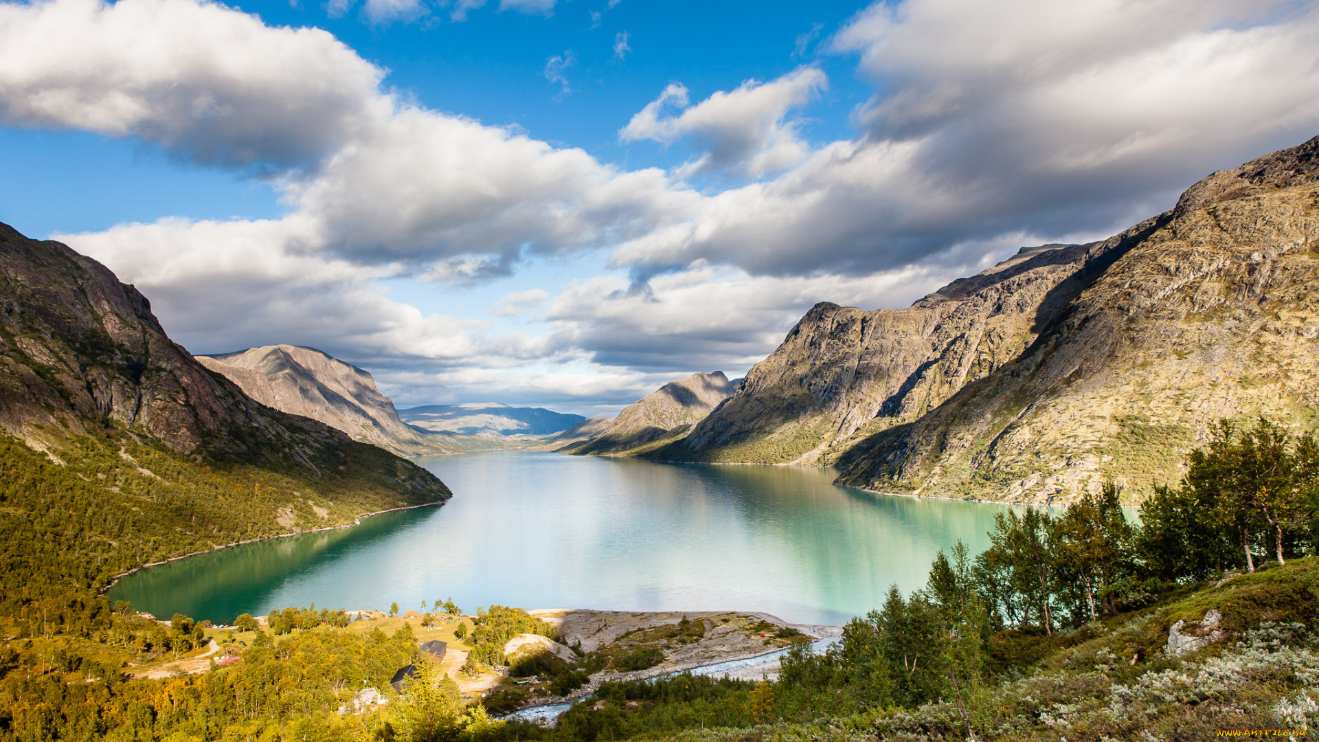 природа, реки, озера, река, лес