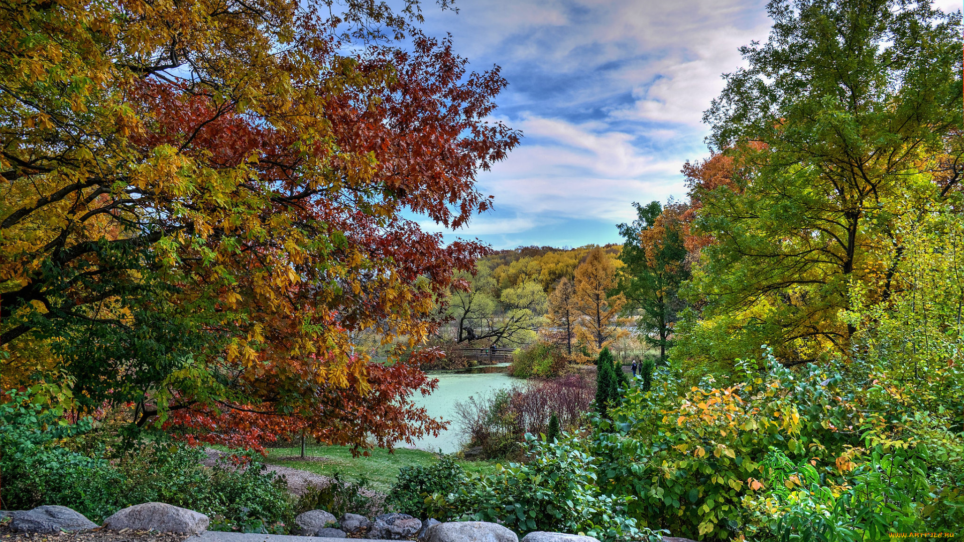 природа, реки, озера, река, лес