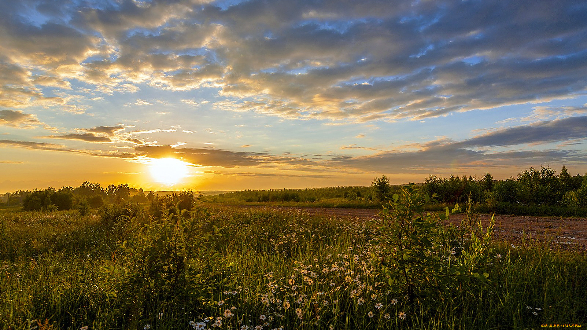 природа, восходы, закаты, красота, родной