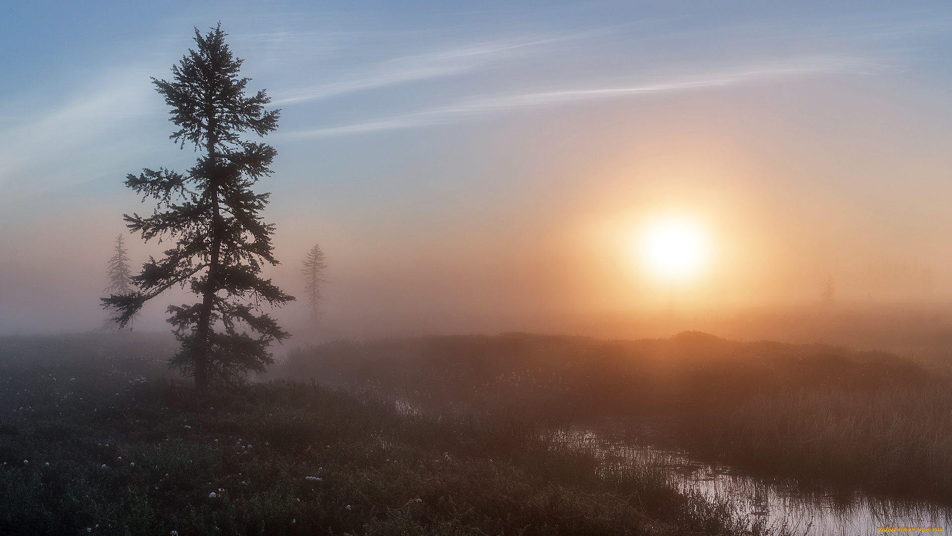 природа, восходы, закаты, красота, родной