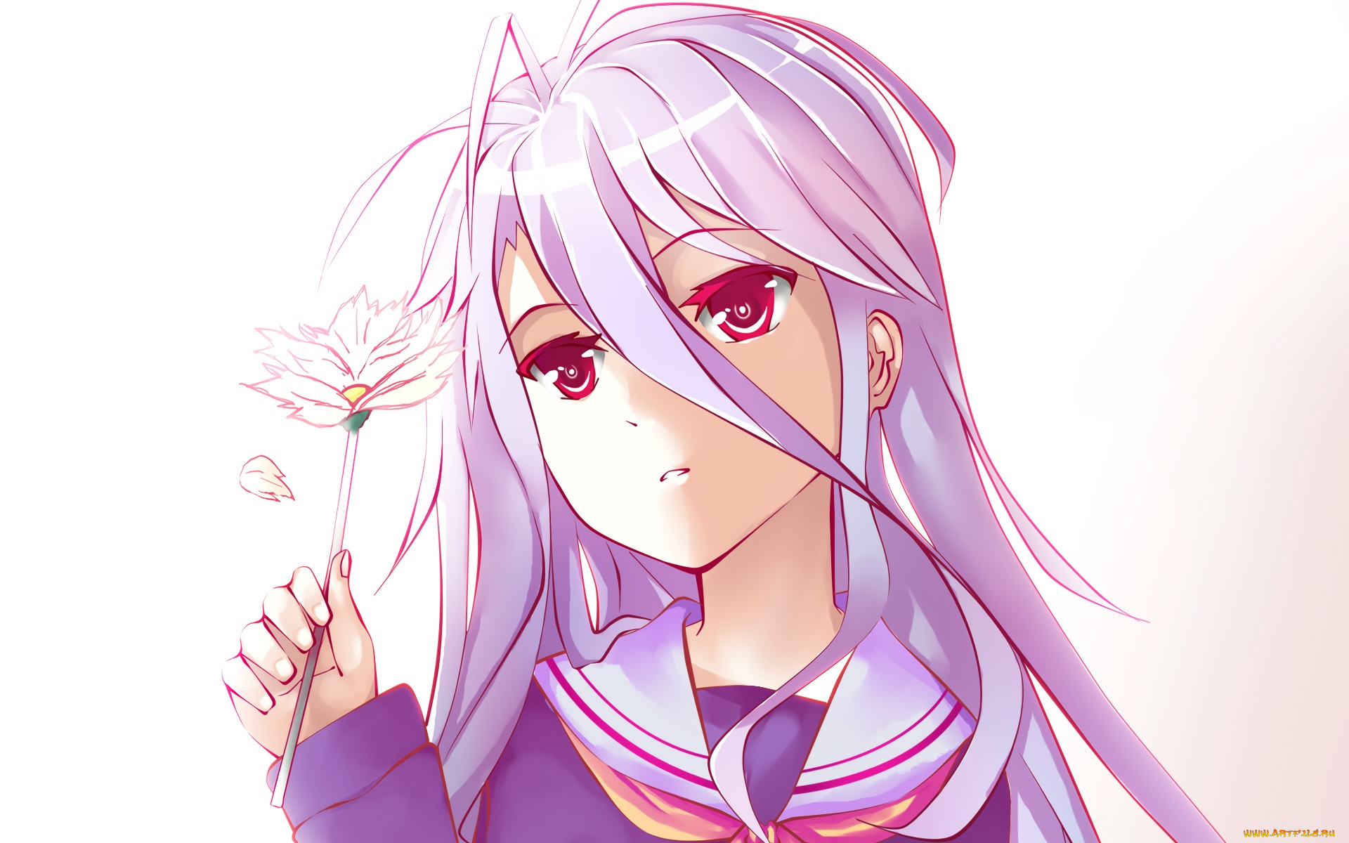 аниме, no, game, no, life, девушка, фон, взгляд