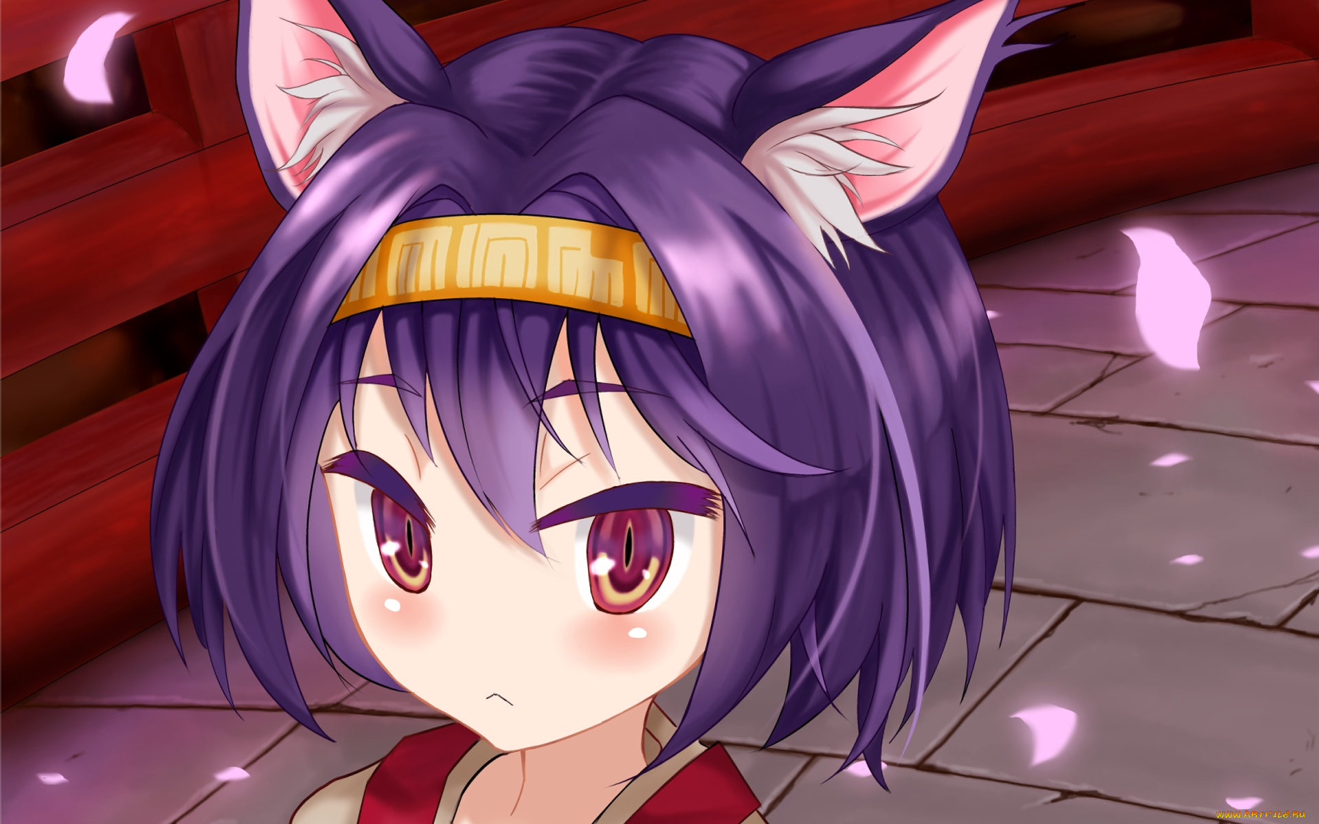 аниме, no, game, no, life, фон, взгляд, девушка