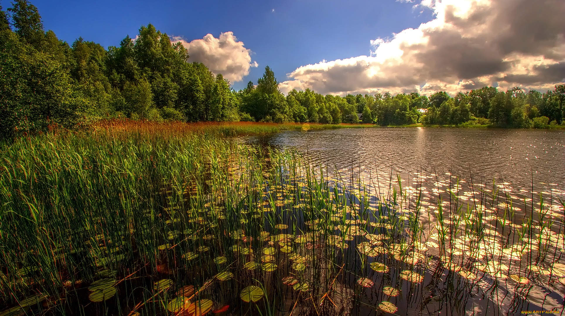 природа, реки, озера, красота, родной