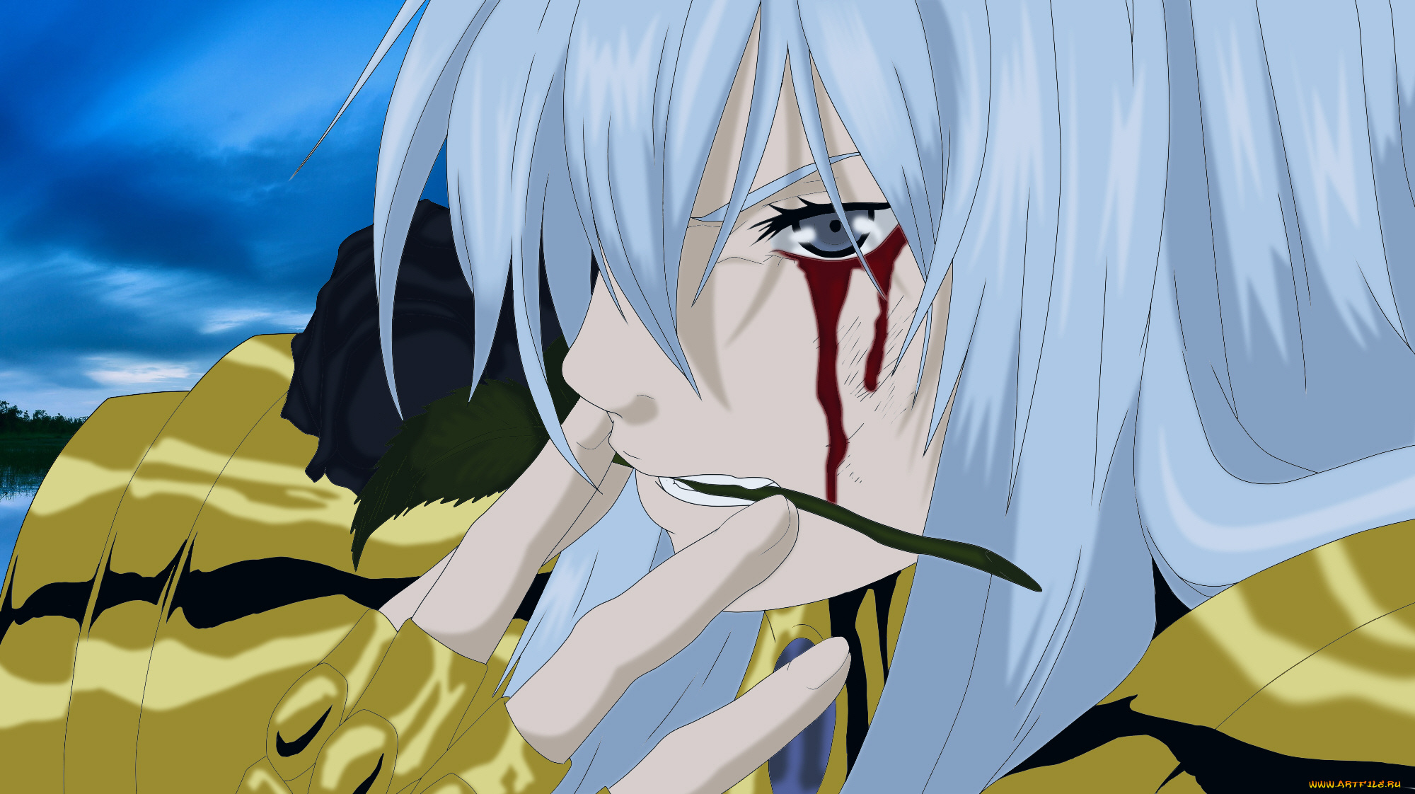 аниме, saint, seiya, кровь, роза