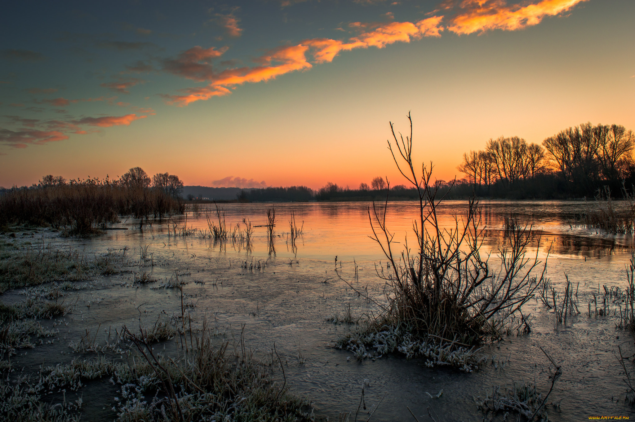 природа, реки, озера, река, лес
