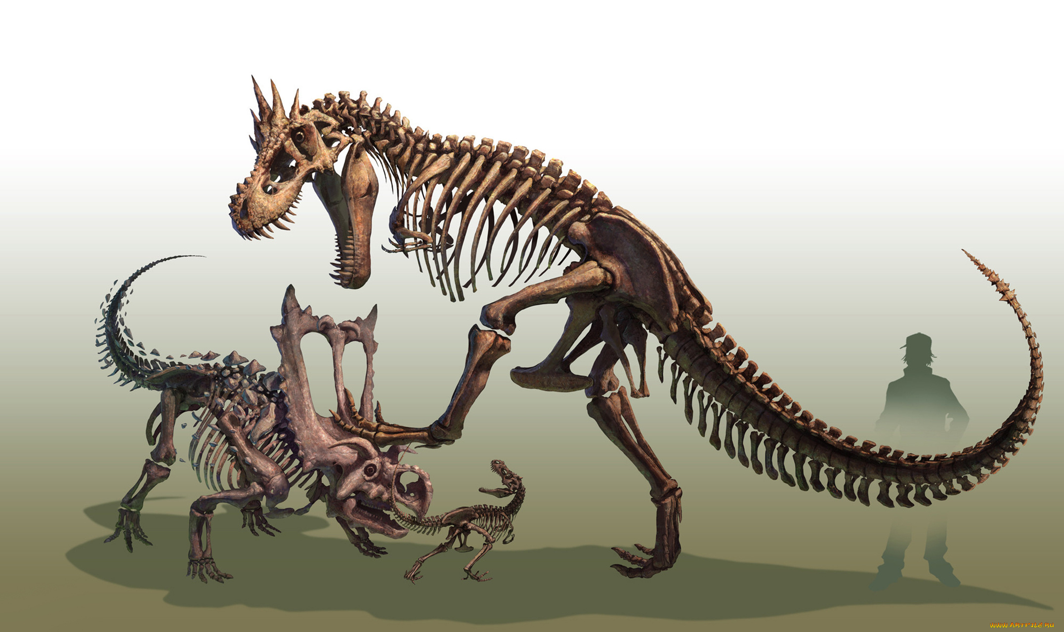 аниме, pokemon, чудовище, монстр, чудище, существо