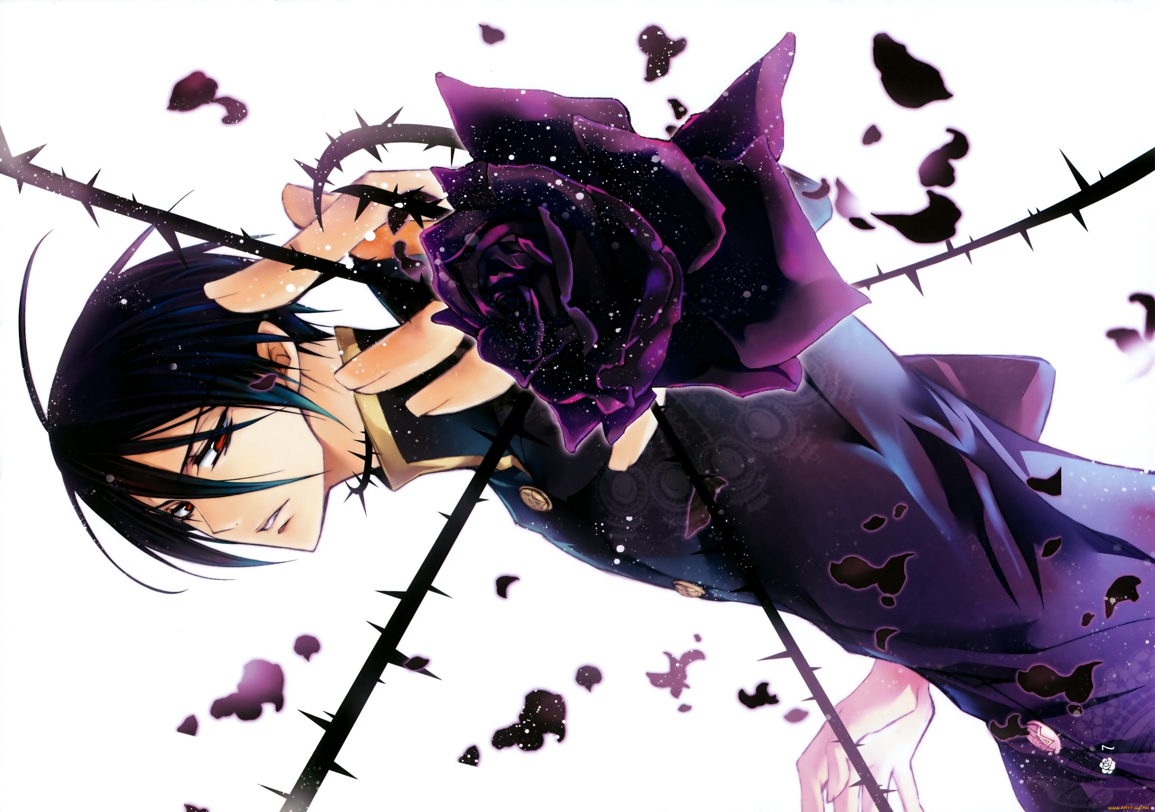 аниме, kiss, of, rose, princess, стебли, с, шипами, чёрная, роза, красные, глаза, лепестки, белый, фон, art, mutsuki, kurama, парень, kiss, of, rose, princess, aya, shouoto