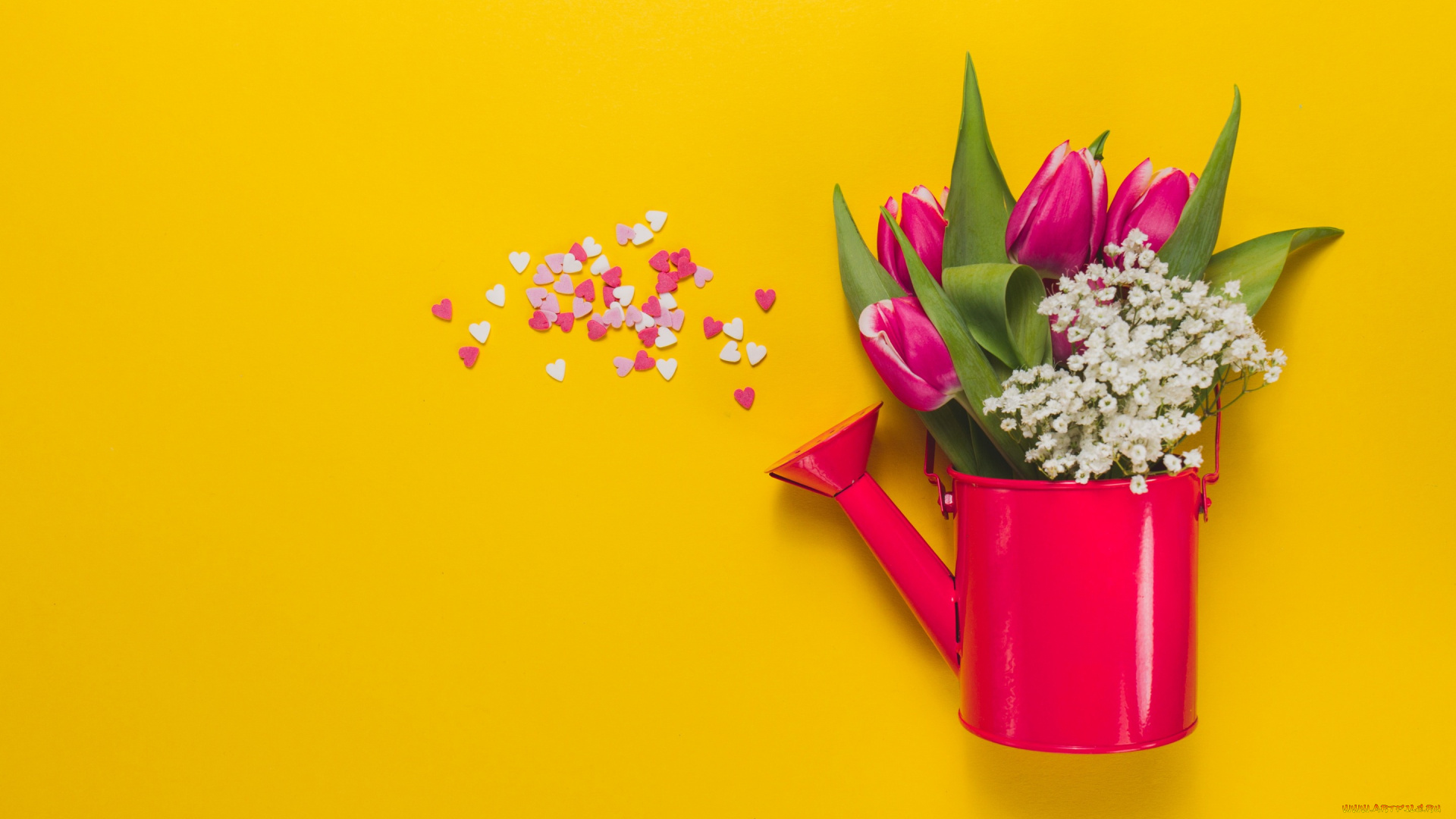 цветы, букеты, , композиции, розовые, flowers, spring, букет, tulips, тюльпаны, pink, fresh