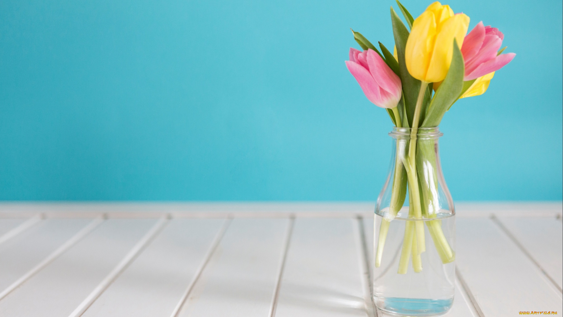 цветы, тюльпаны, tulips, tender, pink, wood, розовые, fresh, желтые, весна, yellow, букет, spring, flowers