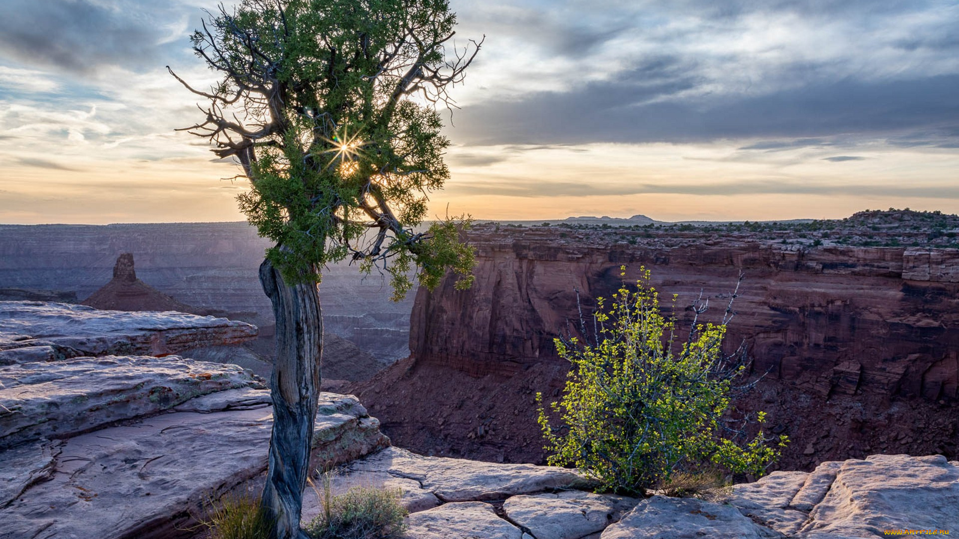 природа, горы, простор