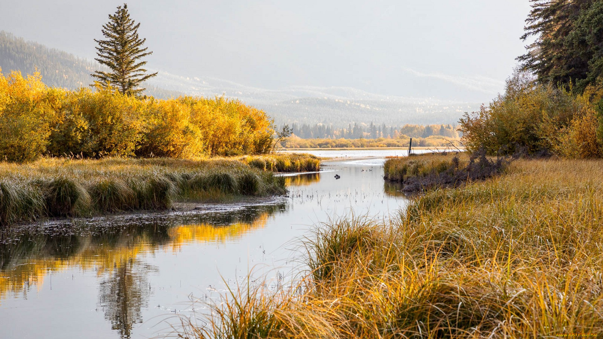 природа, реки, озера, простор