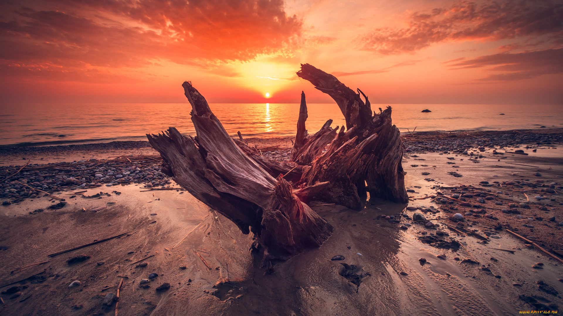 природа, восходы, закаты, пляж, beach, sunlight, солнце, небо, море, sky, wood, sea, nature