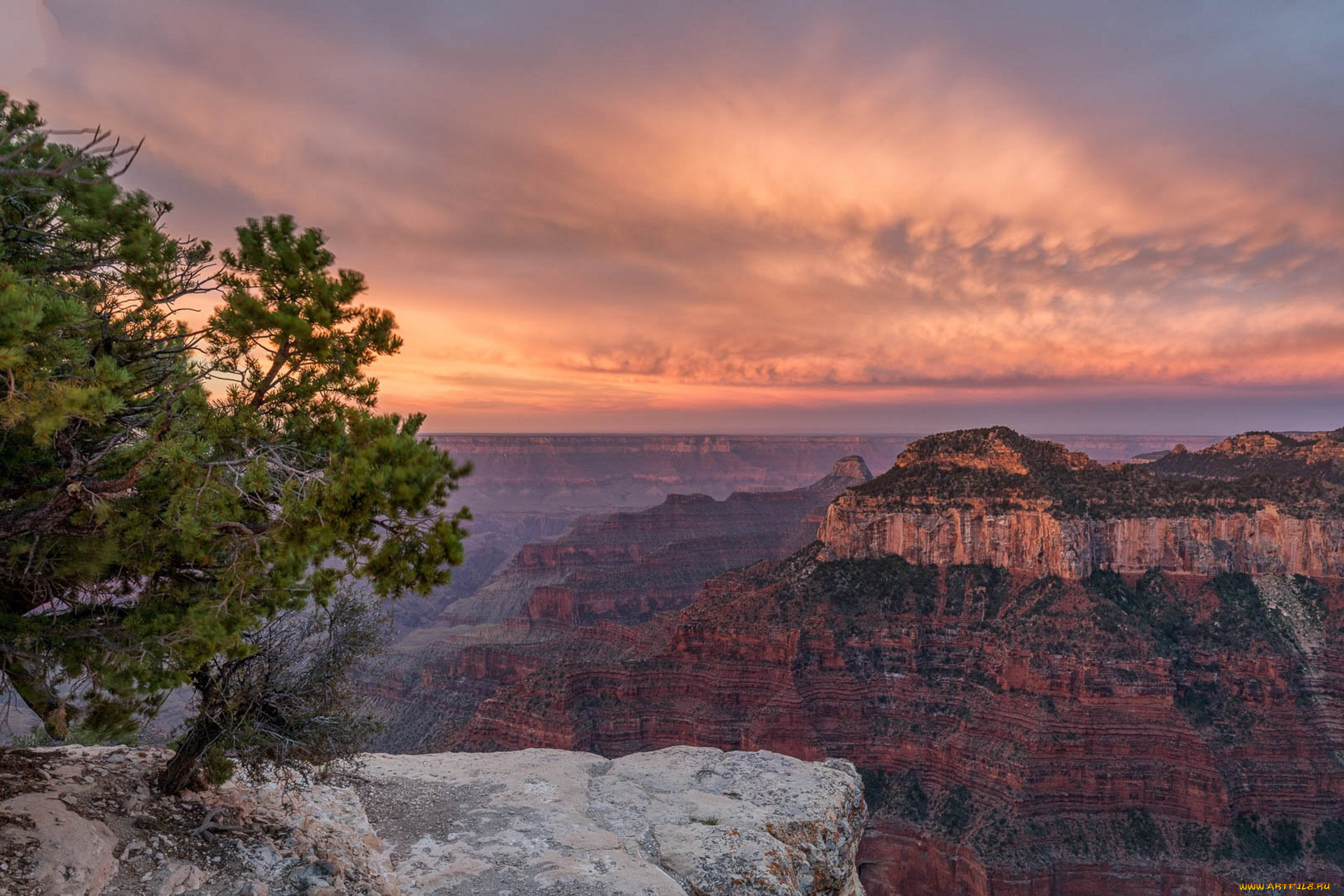 природа, горы, простор