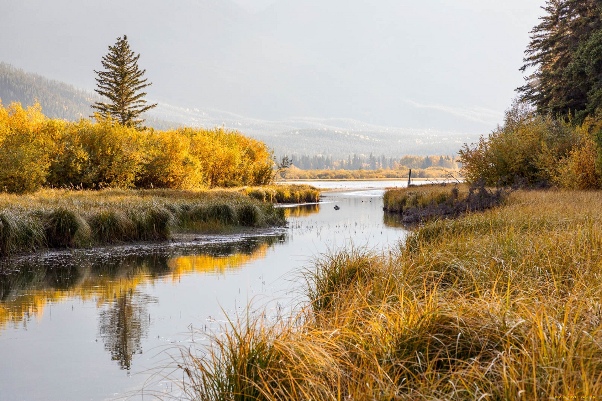 природа, реки, озера, простор