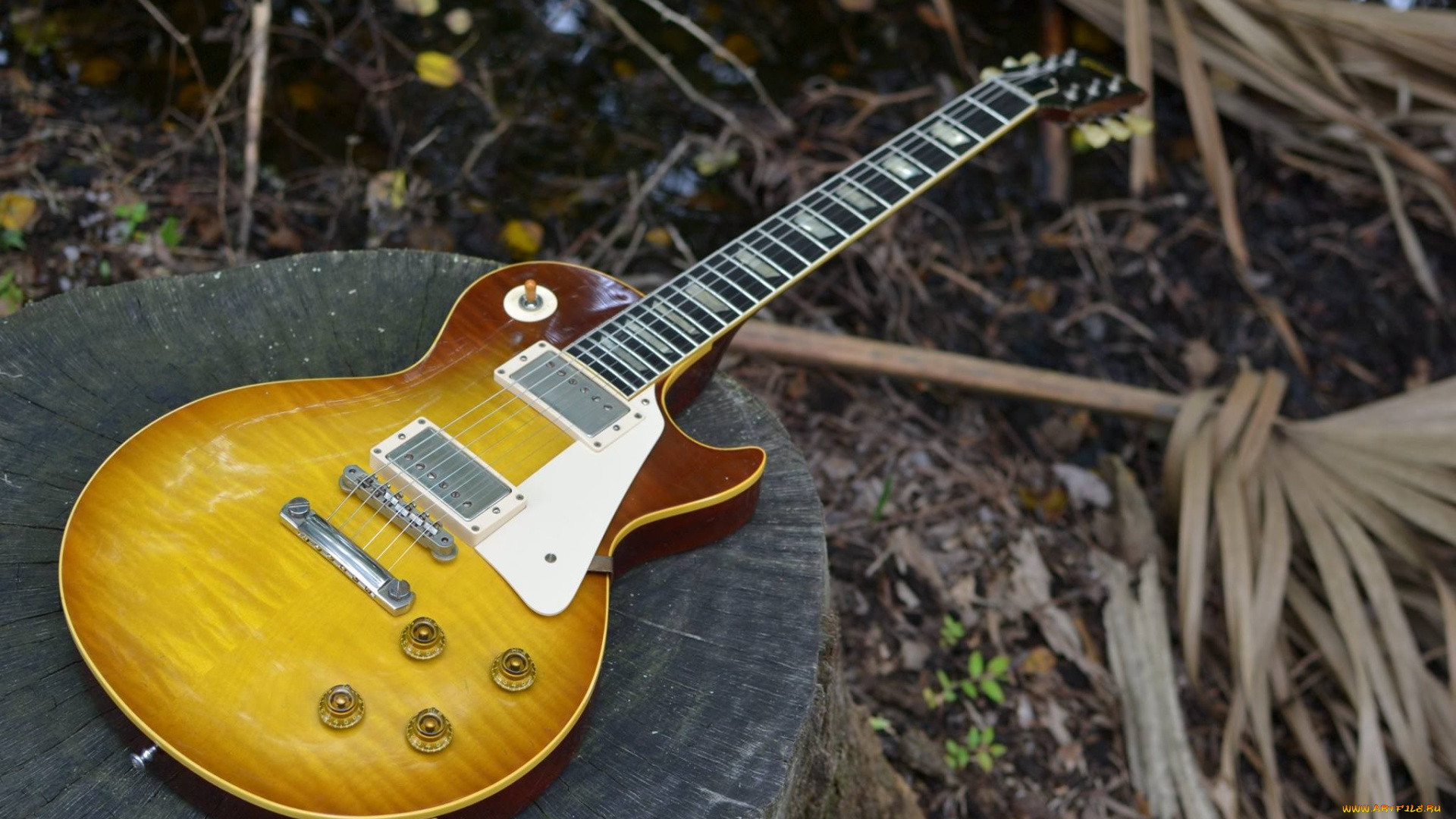 музыка, -музыкальные, инструменты, гитара