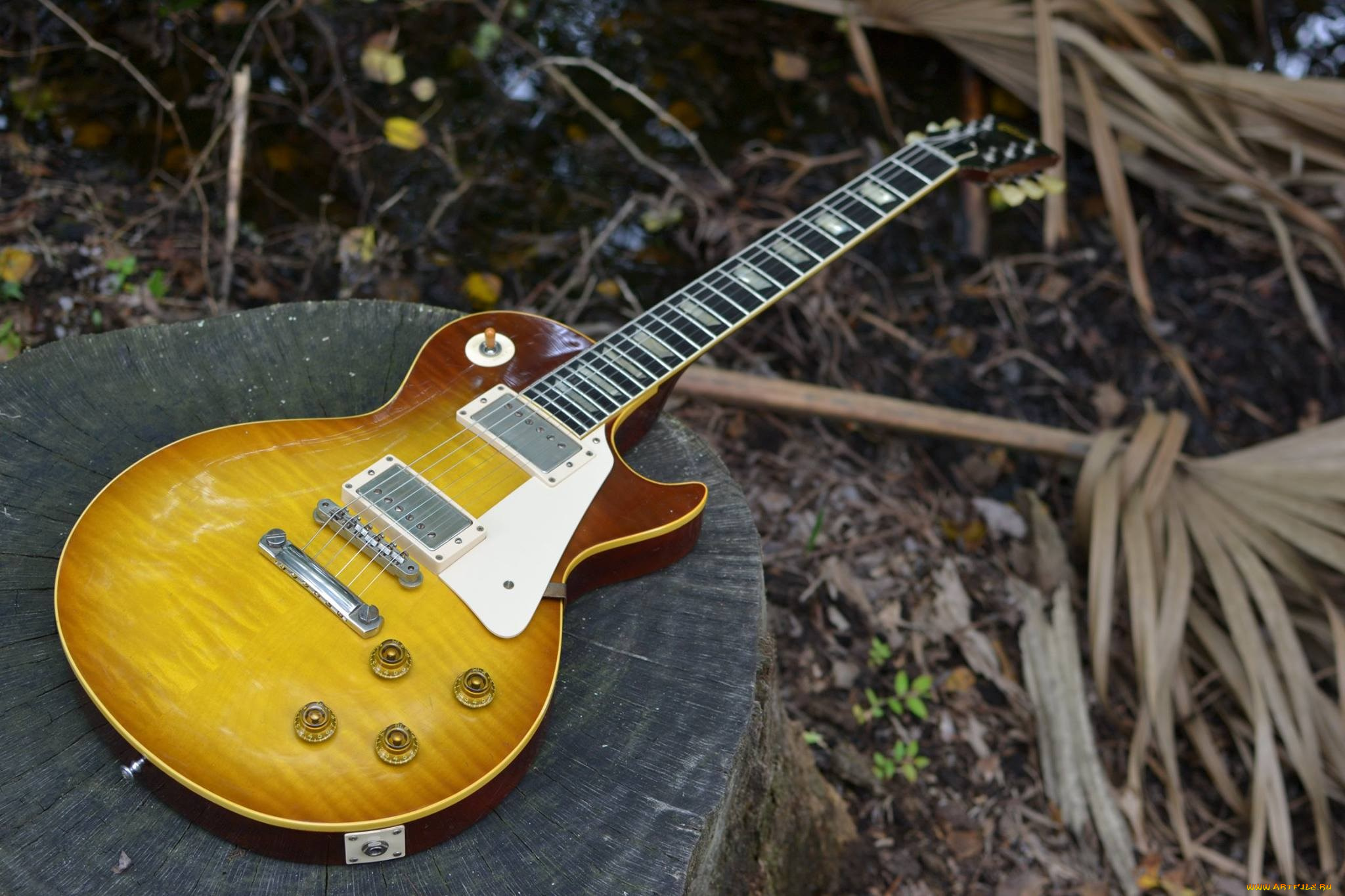 музыка, -музыкальные, инструменты, гитара