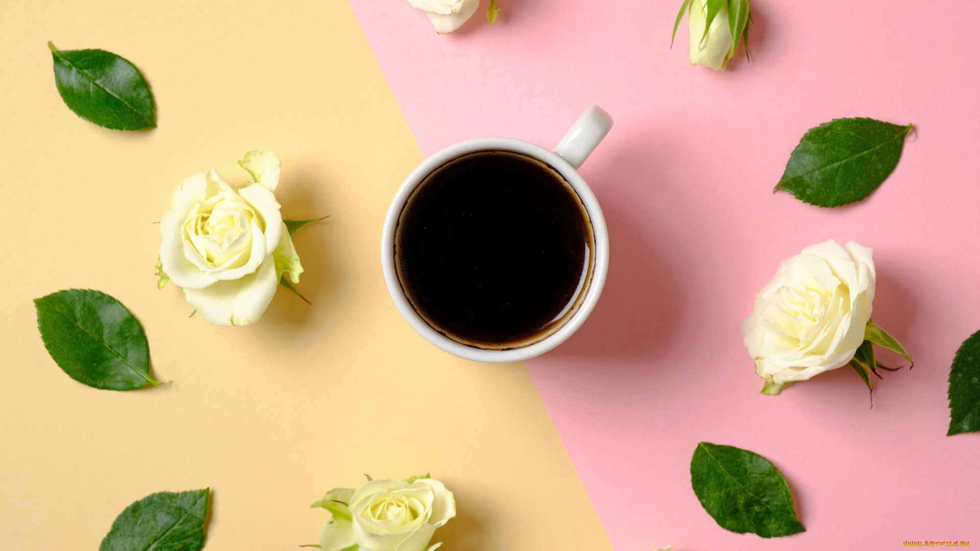 еда, кофе, , кофейные, зёрна, цветы, фон, розы, чашка, бутоны