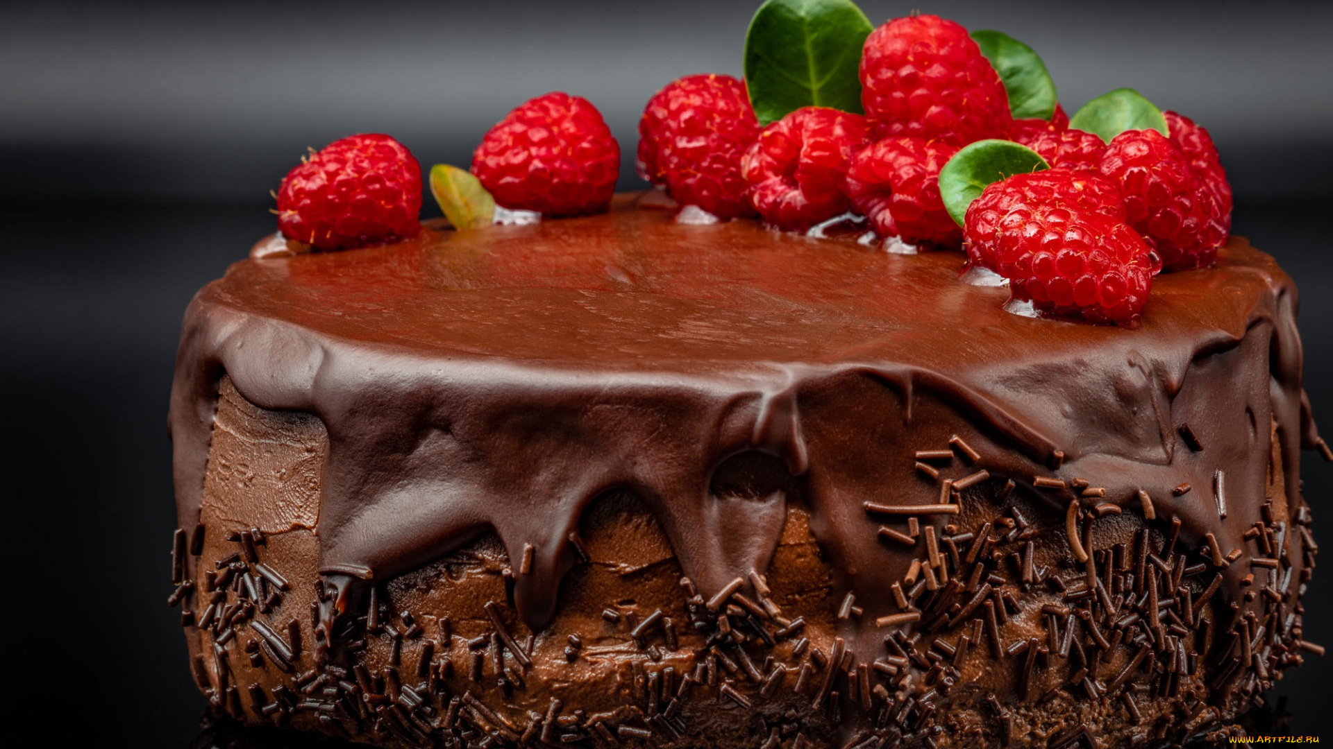 еда, торты, торт, глазурь, шоколад, малина