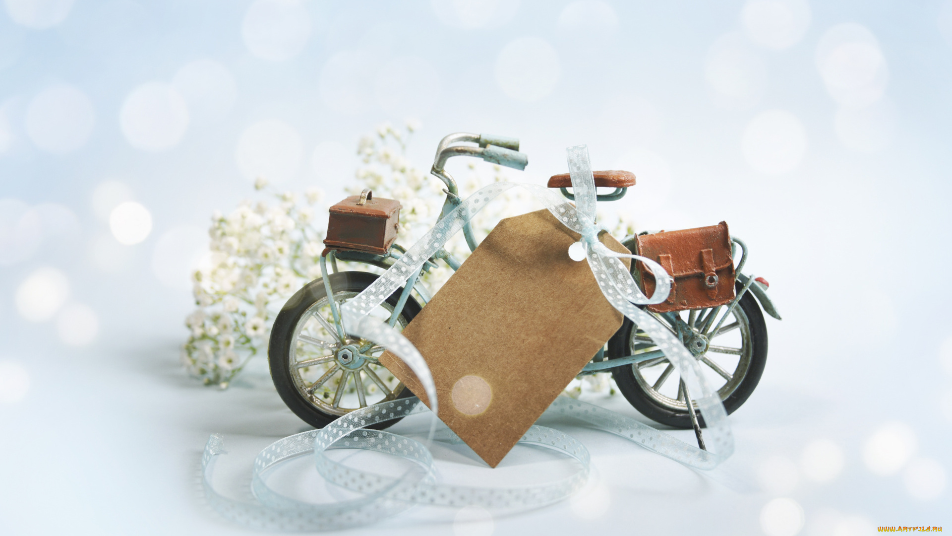 разное, -, другое, цветы, велосипед, композиция
