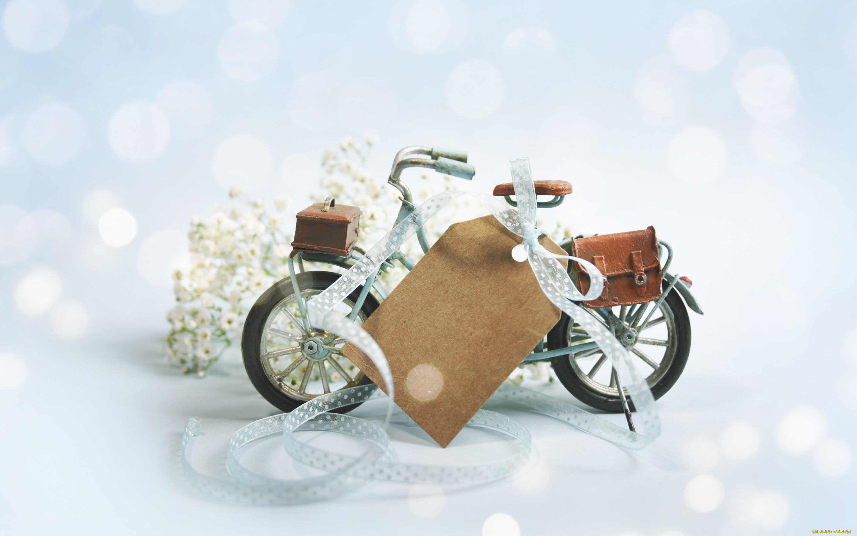 разное, -, другое, цветы, велосипед, композиция